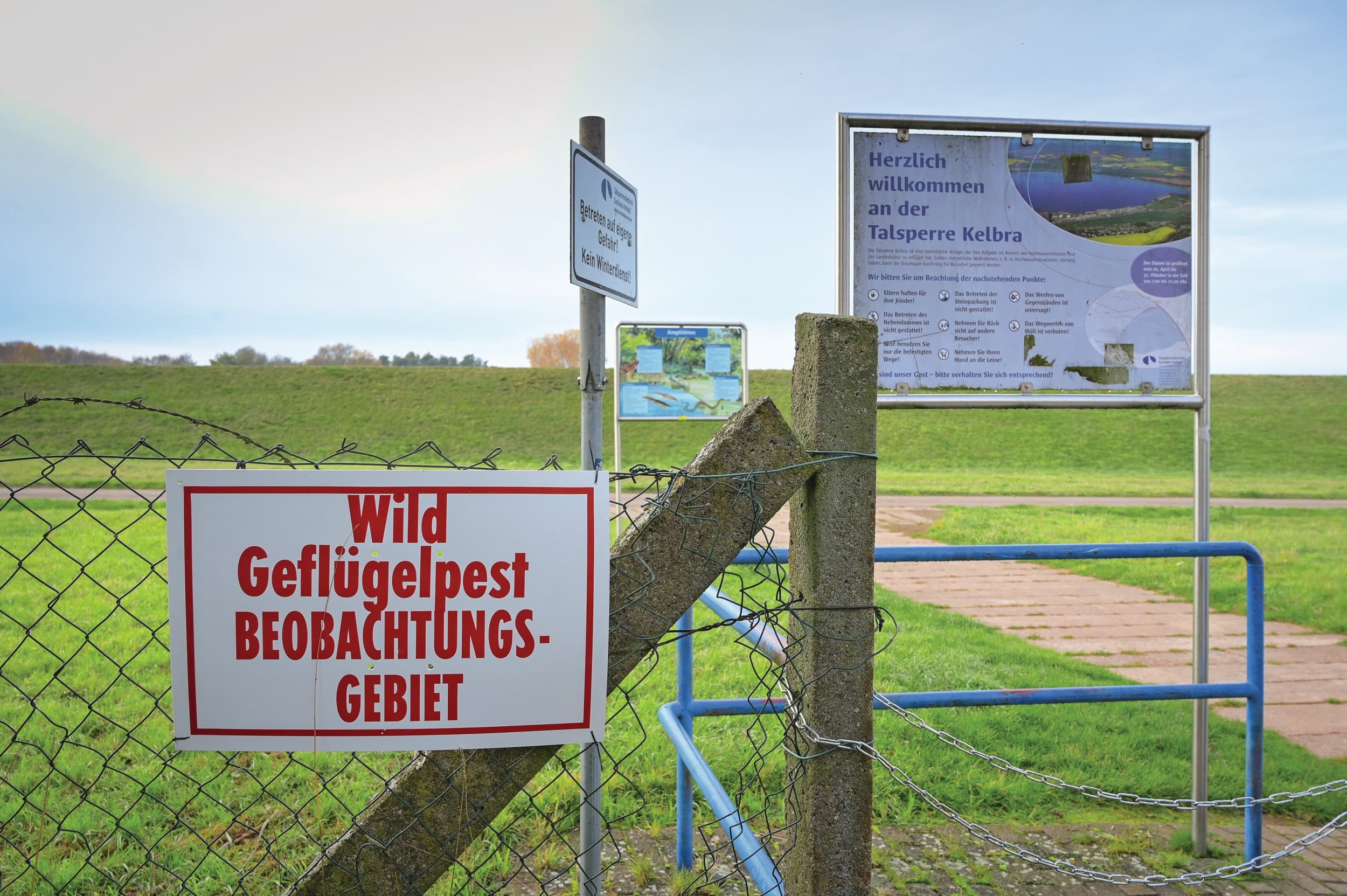 Dit Duitse natuurgebied is gesloten voor bezoekers na de vondst van dode wilde vogels met vogelgriep. Foto: ANP