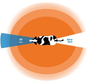 Een koe heeft een panoramisch zichtbereik tot 330° maar een beperkt diepte- en 3D-waarneming.
