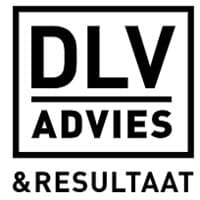 DLV Advies