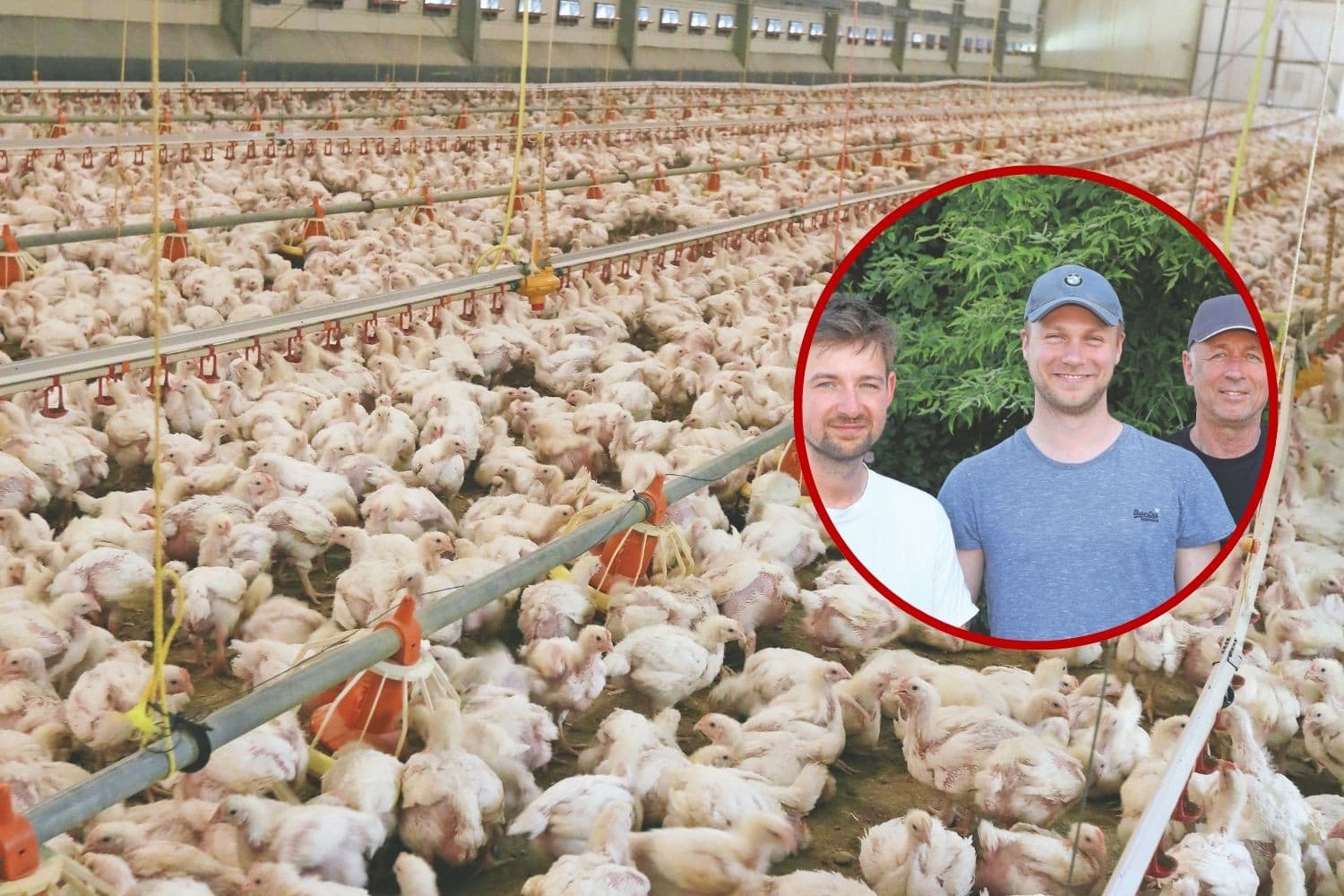 De 16 stallen op het vleeskuikenbedrijf in Parchim (D.) van familie Ziemann (inzet) zijn alle 20 meter breed. Ze zijn identiek uitgevoerd met drie voerlijnen, vier waterlijnen en twee lijnen buizenverwarming. Ook hebben ze twee spraykoelers. Foto’s: Henk Riswick