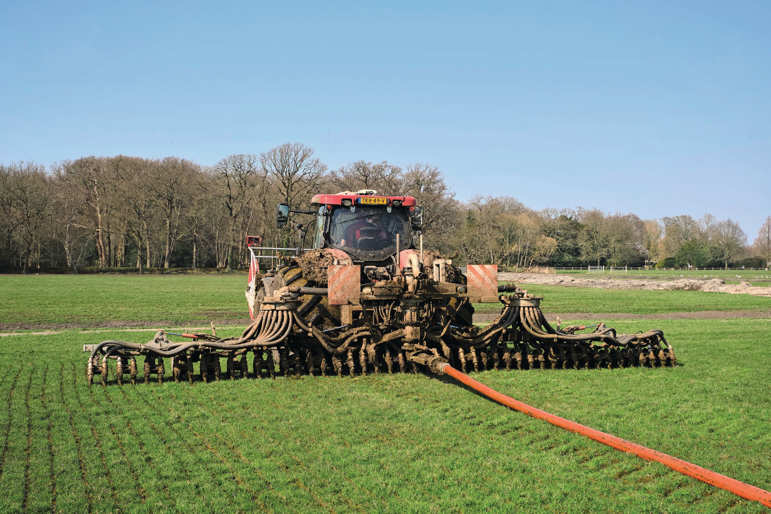 Bij de toelating van renure mag maximaal 80 kilo stikstof uit renure per hectare worden toegepast. Mineralenconcentraat uit omgekeerde osmose is een van de meststoffen die hier onder vallen, naast ammoniumzouten en struviet. Mineralenconcentraat wordt vaak gemengd met dierlijke mest. Archieffoto: Roel Dijkstra fotografie