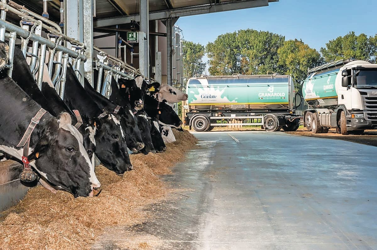 Granarolo verwerkt de melk van 475 Italiaanse melkveehouders. Bijna 70% van de melk komt van melkveebedrijven in de regio Lombardije. Foto: Granarolo