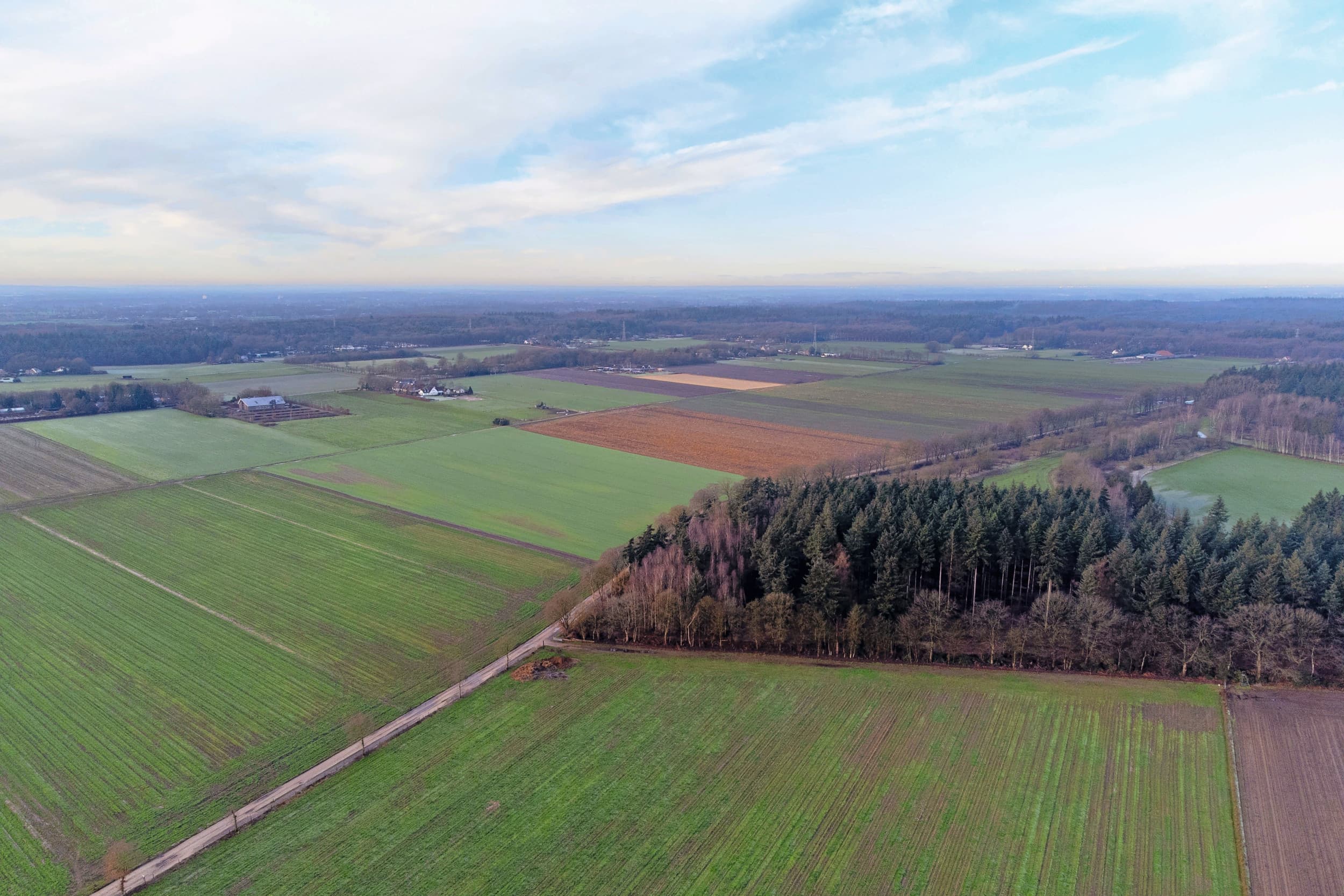 Stikstofreductie landbouw