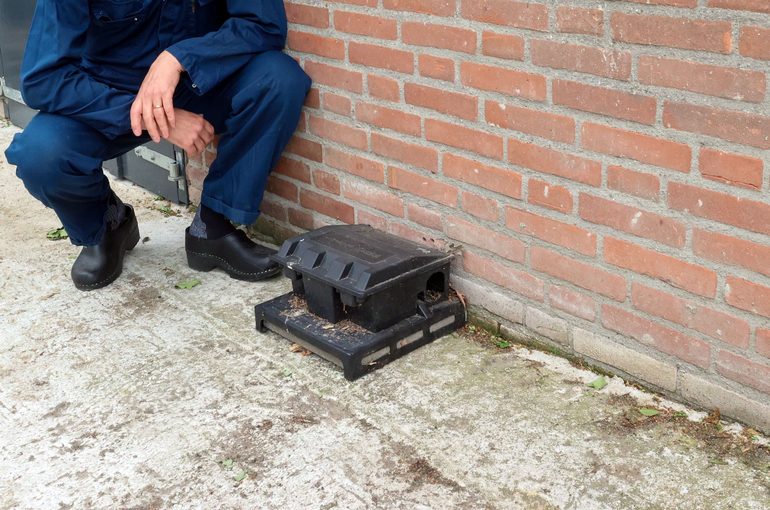Foto: Bert Jansen