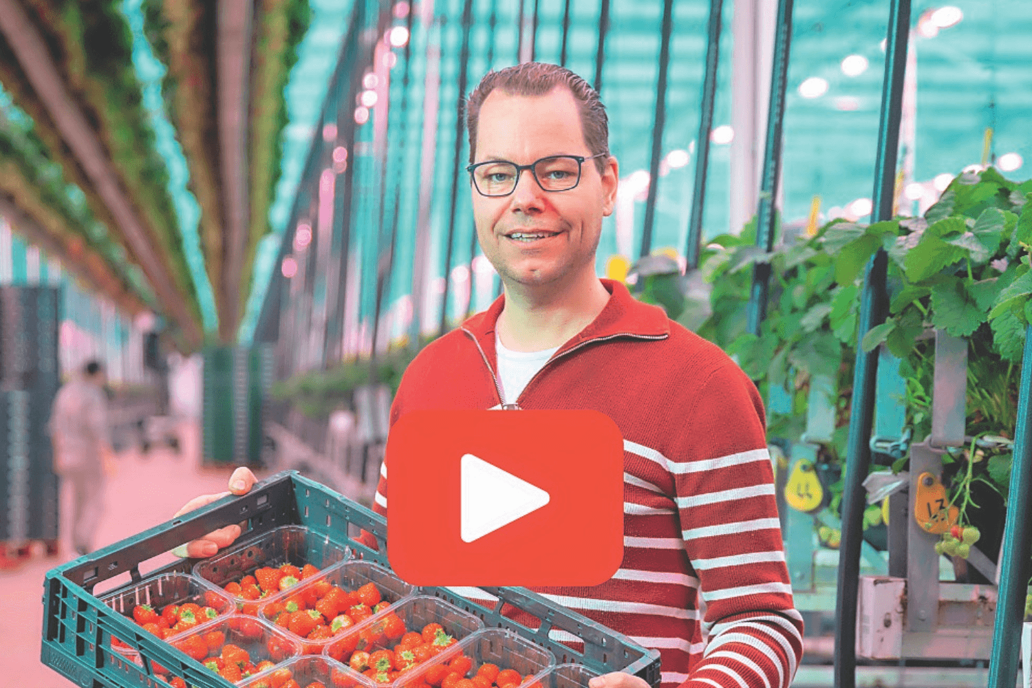 Video | Royal Berry – Agrarisch Ondernemer van het Jaar – groeit duurzaam en investeert in personeel
