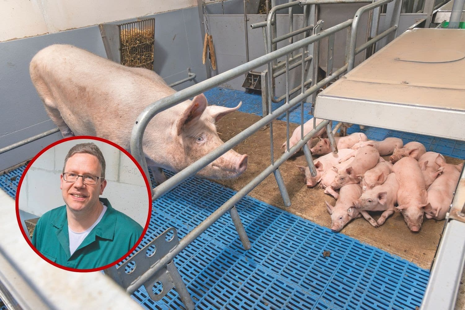 Martin Maue (51) in het Duitse district Emsland heeft twee zeugenbedrijven en een akkerbouwtak. Foto’s: Koos Groenewold