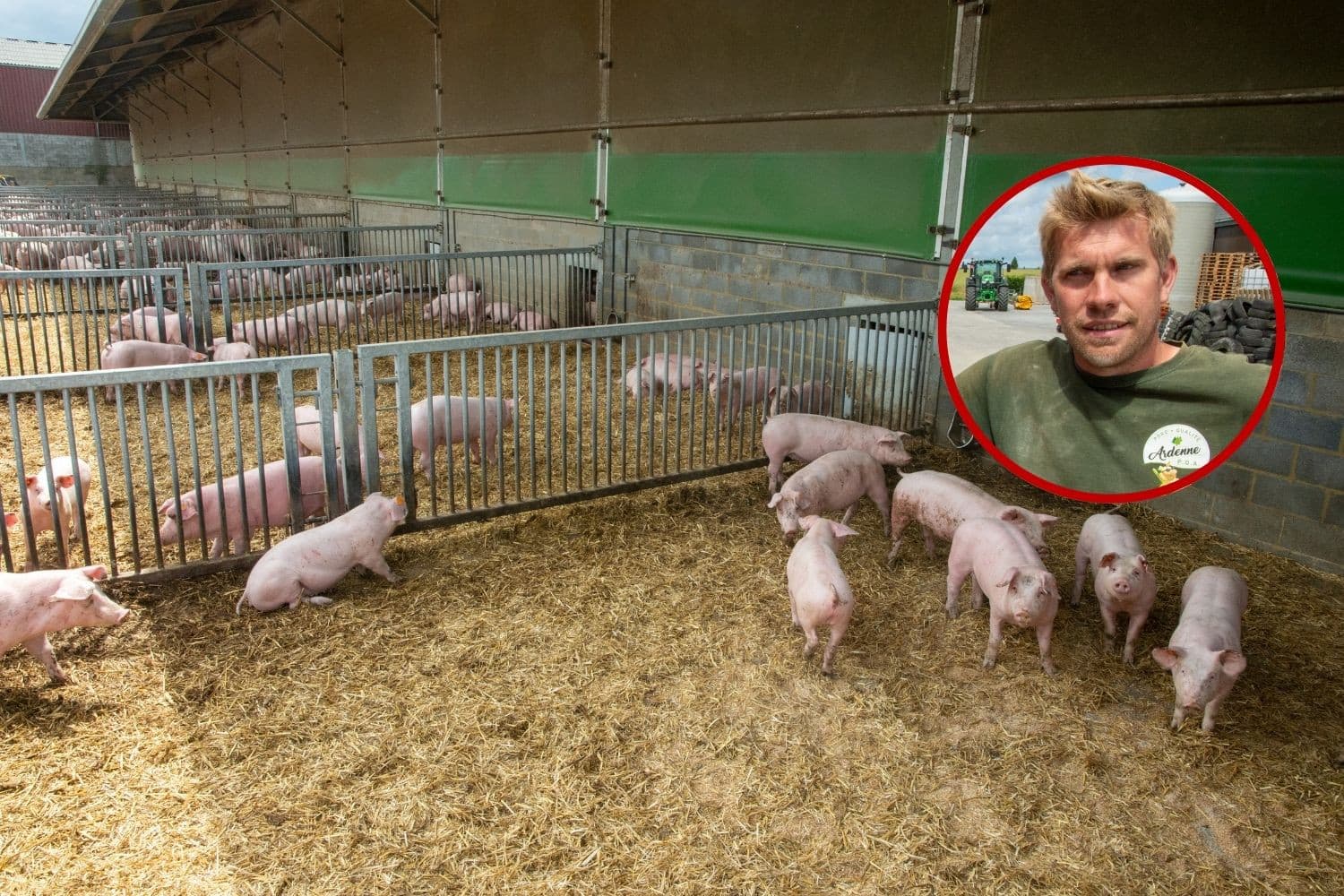 Veehouder Nicolas de Wilde (inzet). Foto’s: Twan Wiermans
