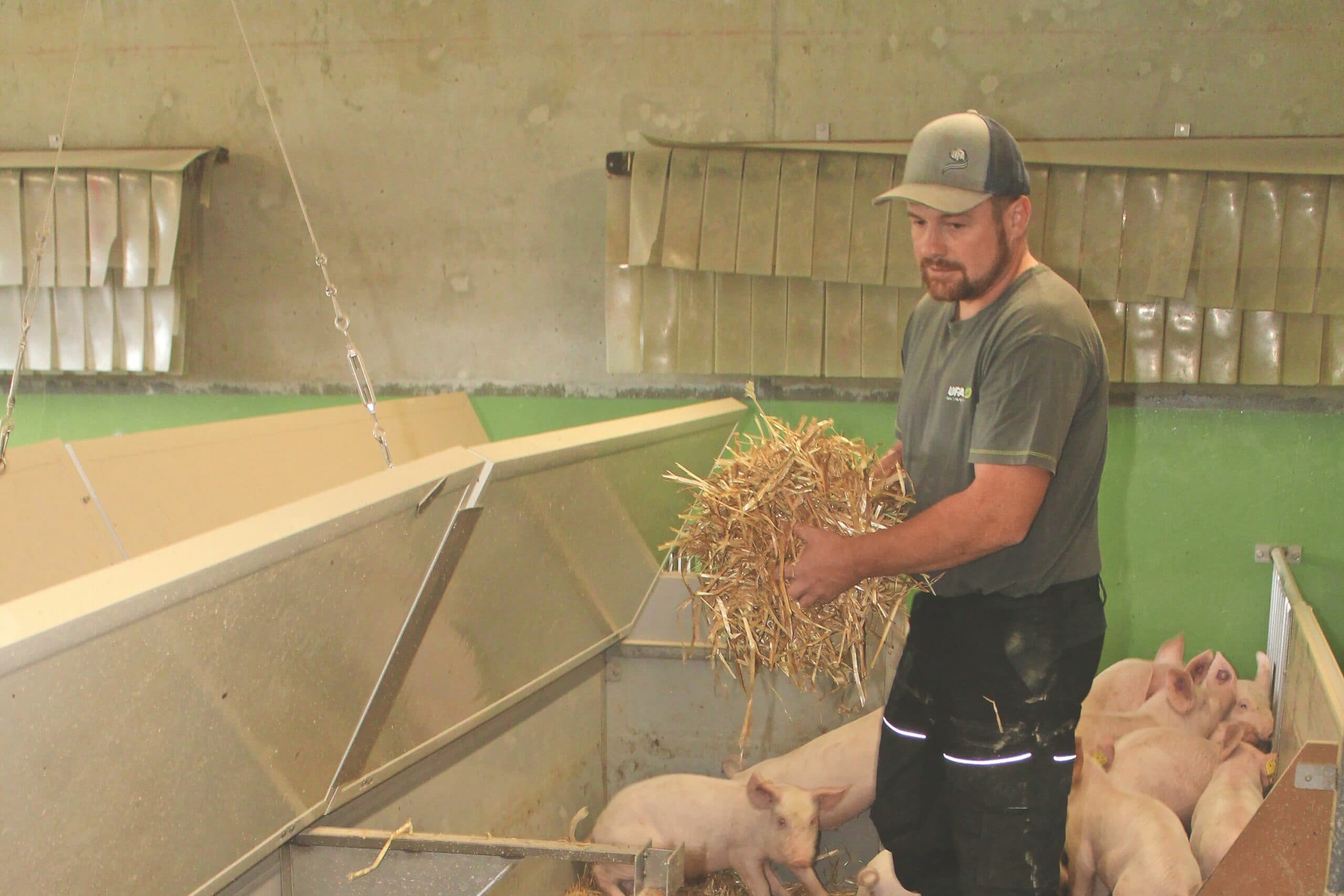 Reinmann Farm: met varkens is veel mogelijk in Zwitserland