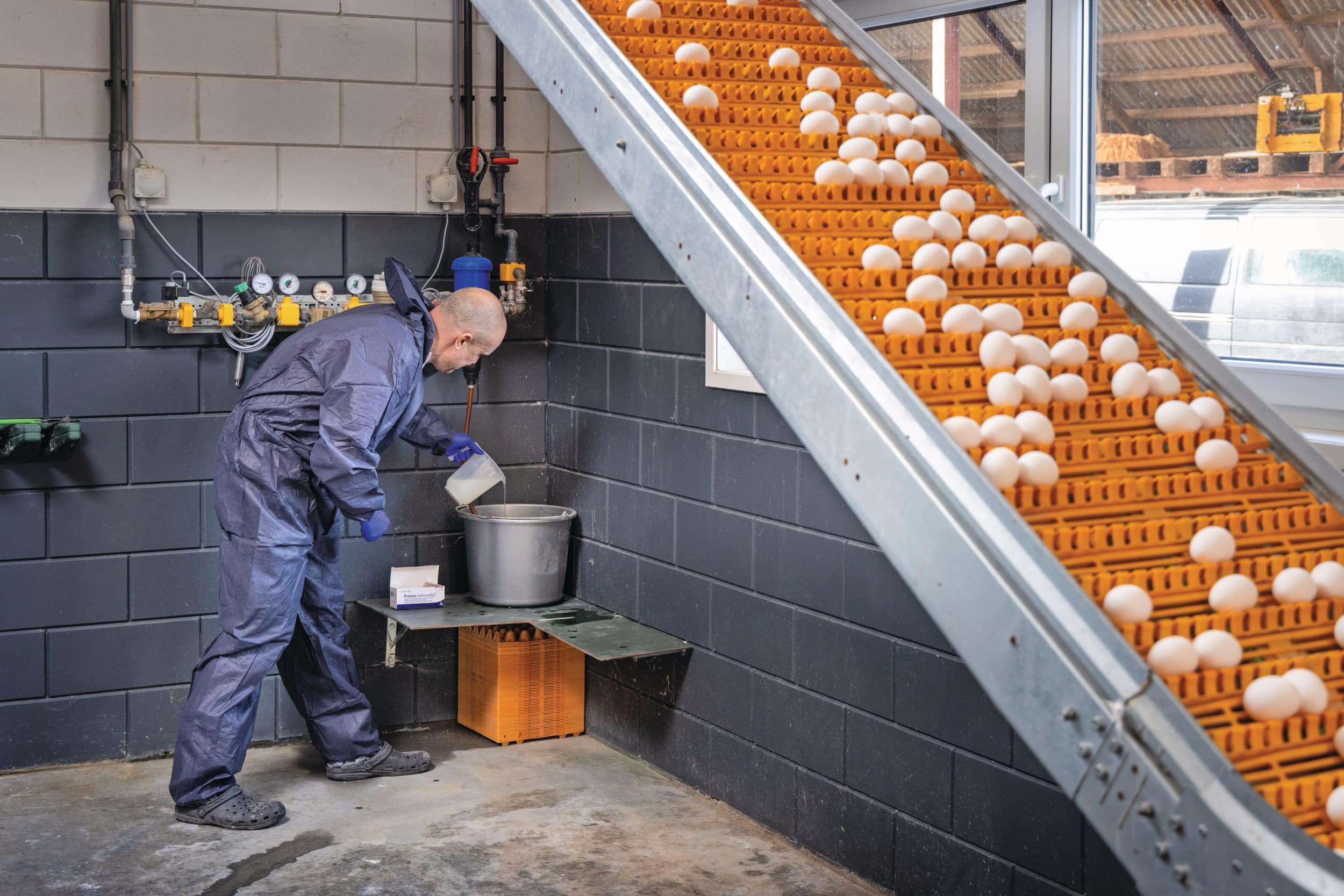 In de sectoraanpak tegen salmonella is onder andere een extra boostervaccinatie opgenomen. Foto: Koos Groenewold