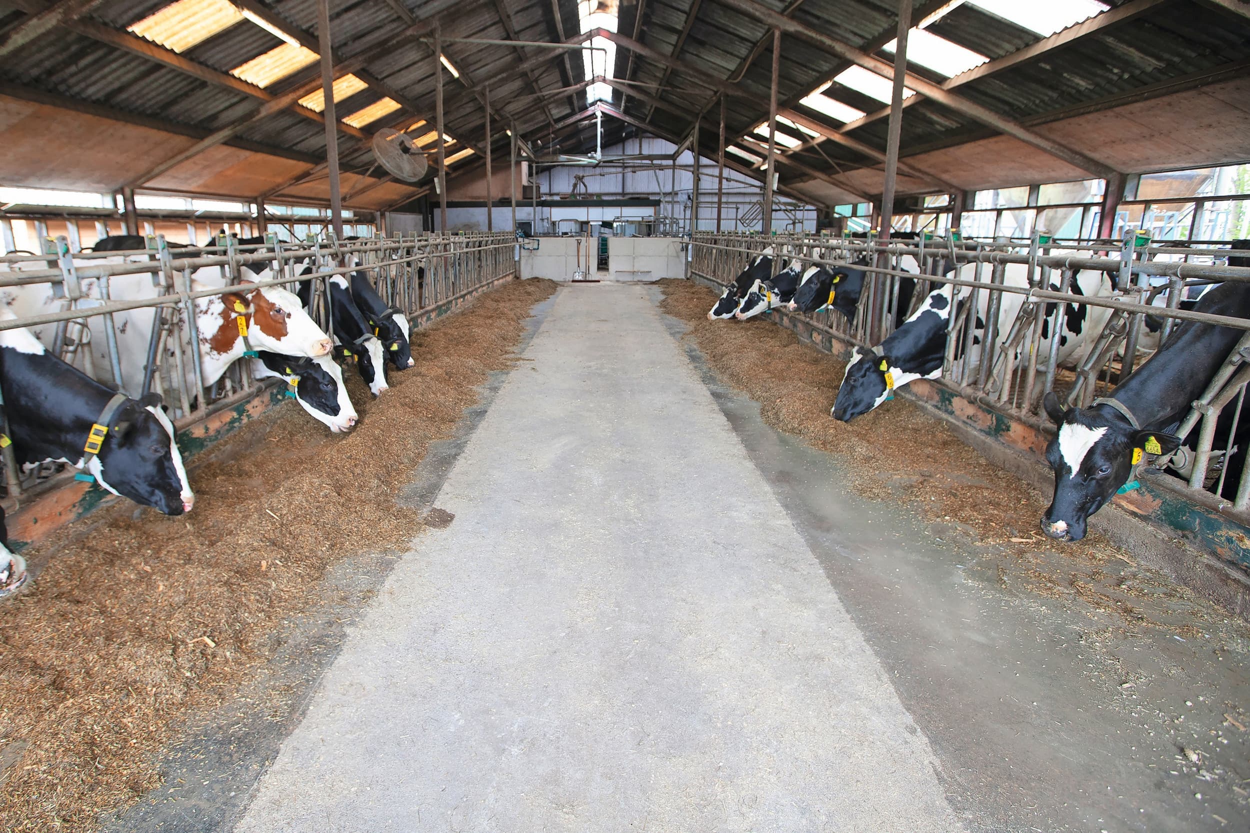 emissies stallen structureel hoger