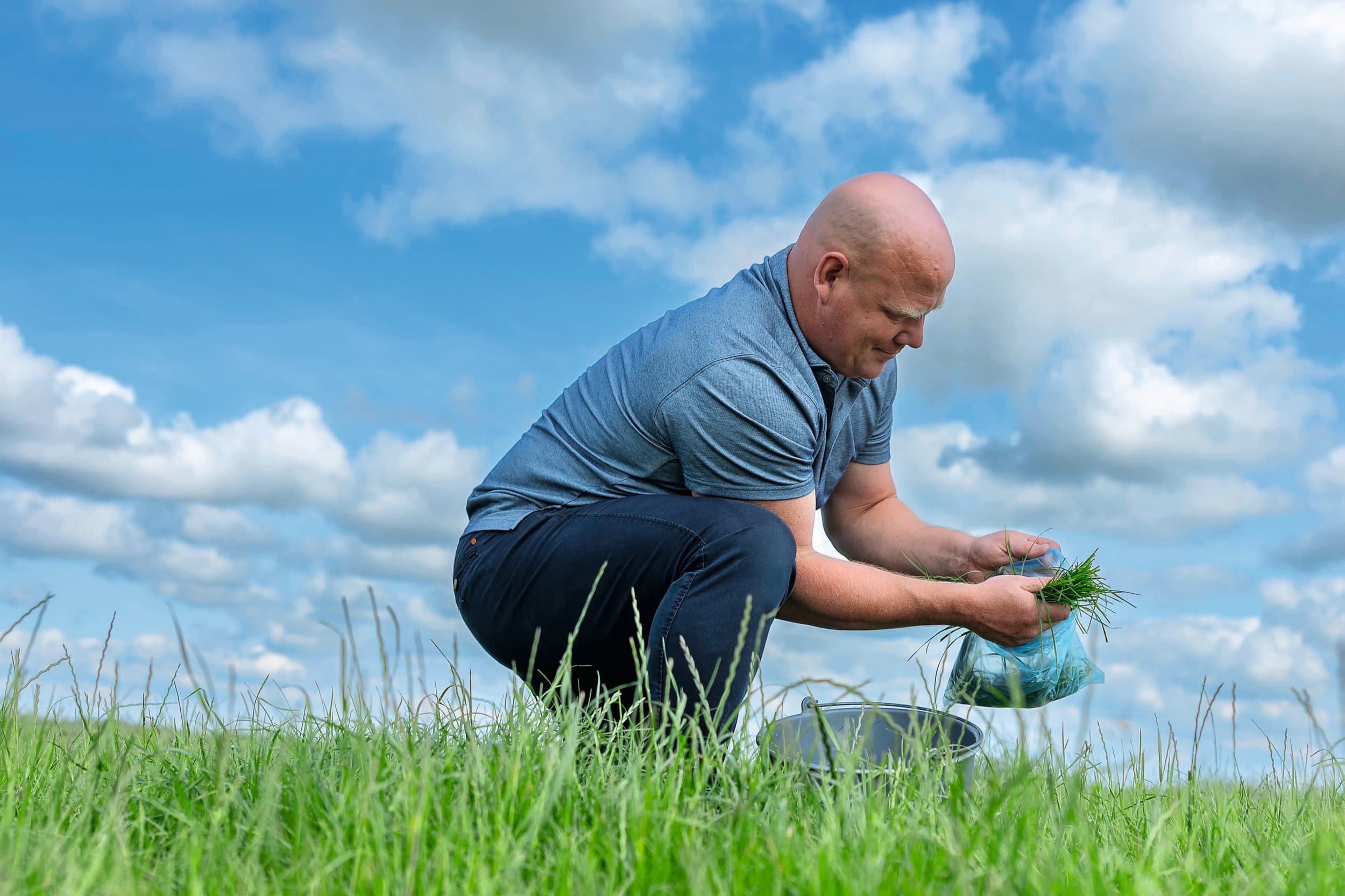 Om de voeding van de koeien te optimaliseren, neemt Hilse Bosch wekelijks een of meerdere monsters vers gras. Na analyse weet hij of bijsturing in de voeding nodig is. Foto’s: Mark Pasveer