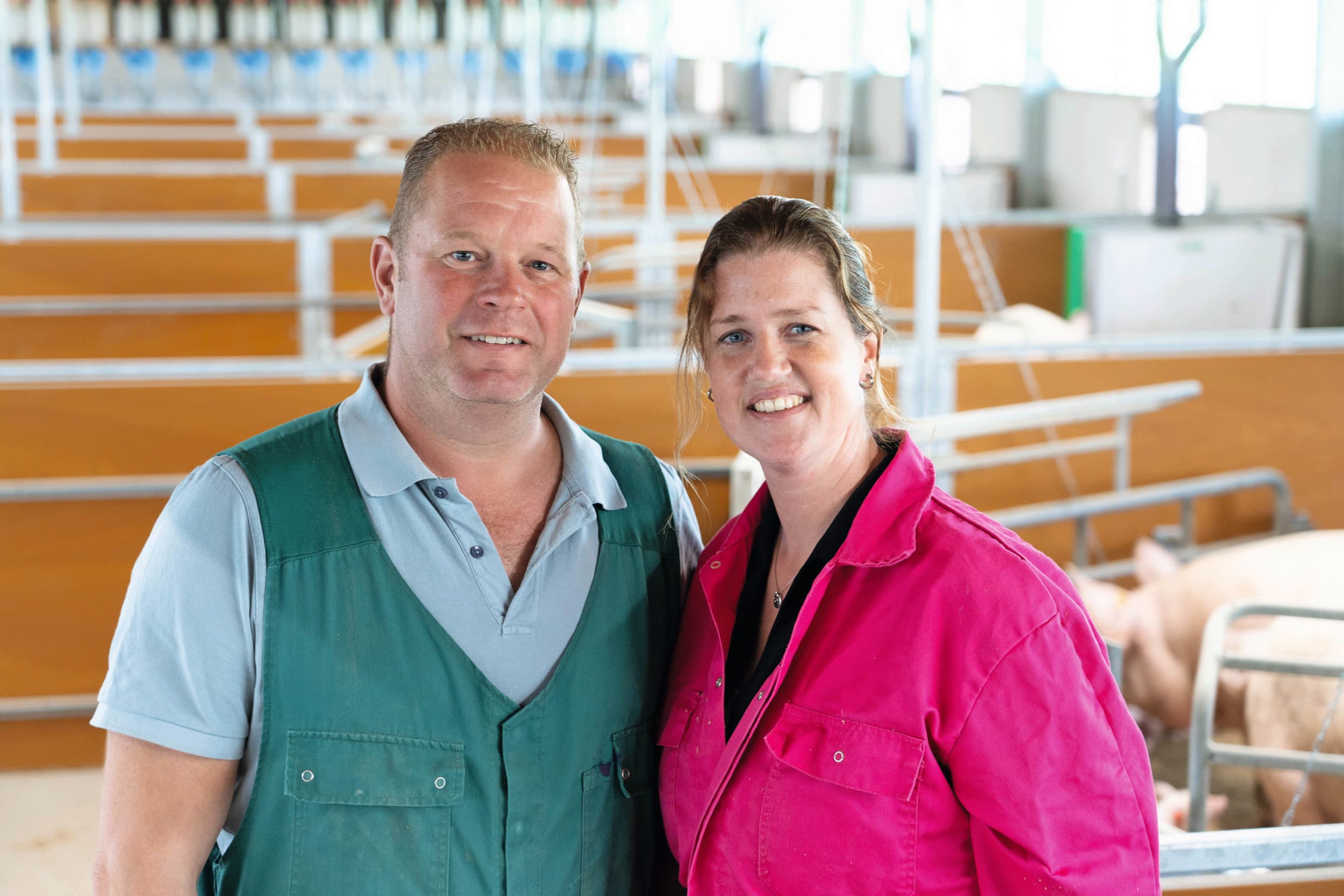 Dennis (44) en Mirjam (41) ten Have houden 26 zeugen in het Zonvarken-concept. De ondernemers combineren de kleinschalige zeugentak met melkvee en een jong gezin. Foto's: Jan Willem Schouten