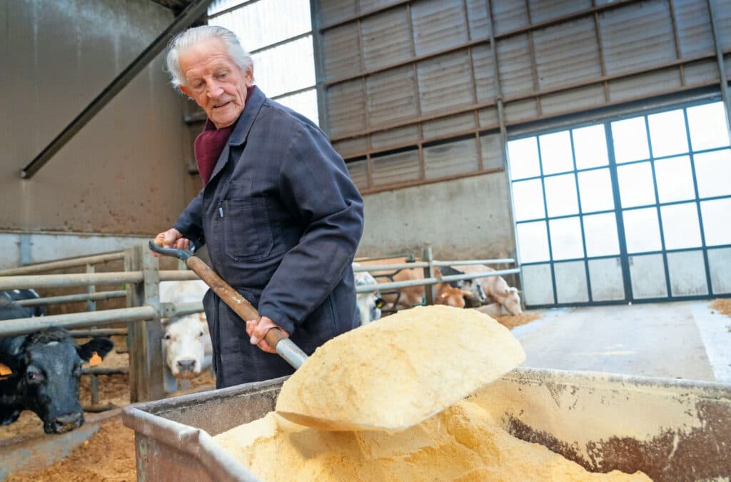 Opa Piet helpt nog graag mee op het bedrijf. Niet elke dag, maar wel twee vaste dagen in de week.