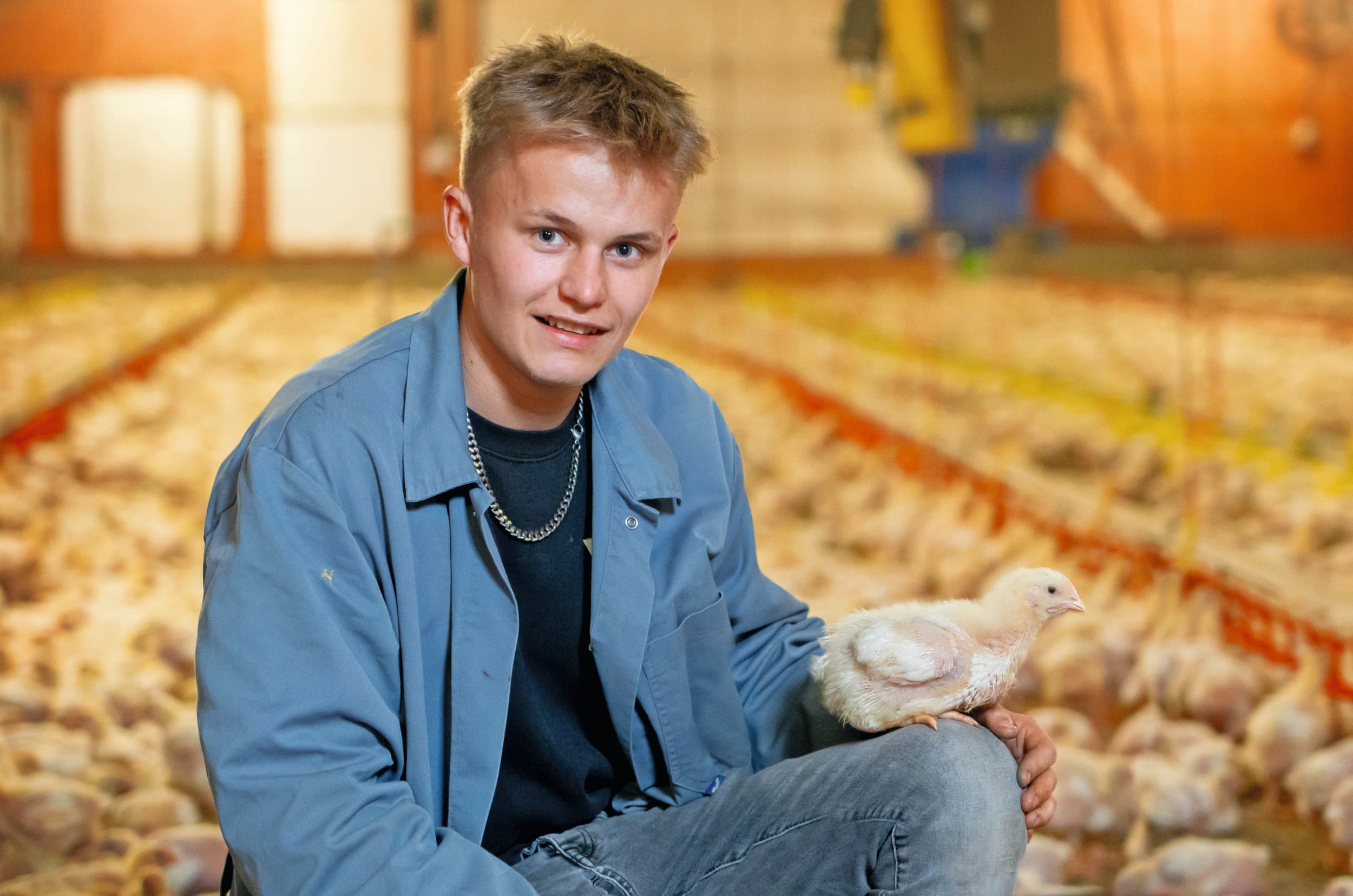 Marijn Pasman (19) woont in Den Ham (Ov.). In maatschap met zijn opa en moeder runt hij een bedrijf met plek voor 96.000 vleeskuikens. Foto's: Jan Willem Schouten