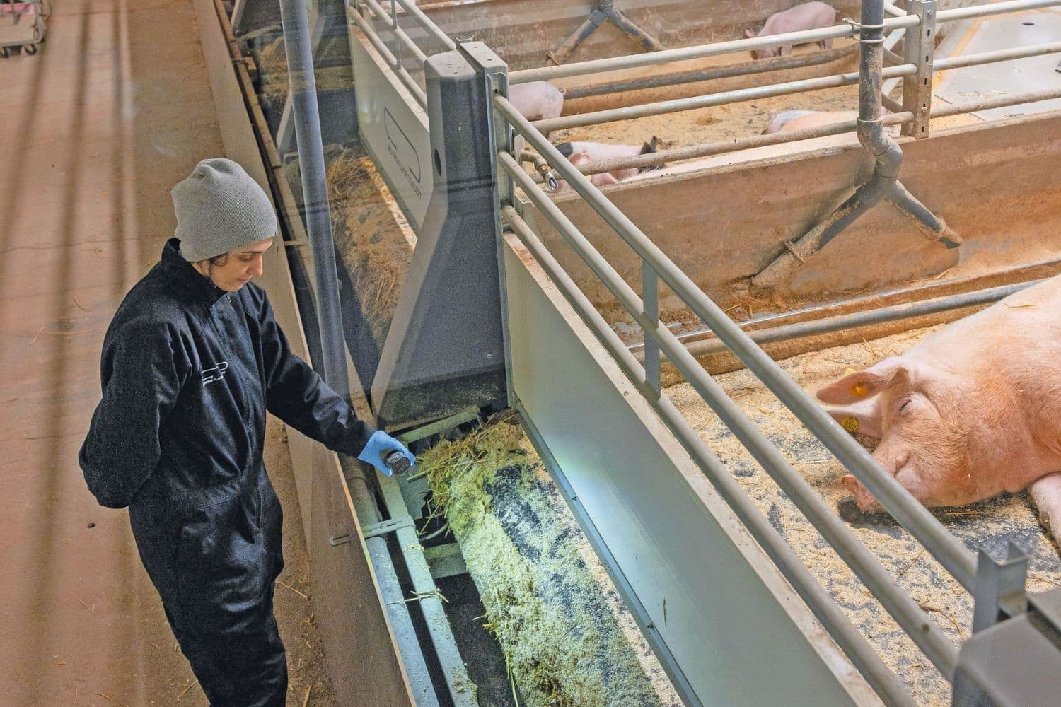 Op de schraper die de bewegende vloer schoonhoudt, mag zich geen dikke laag mest vormen. Deze moet daarom wekelijks worden schoongemaakt. Foto’s: Mark Pasveer
