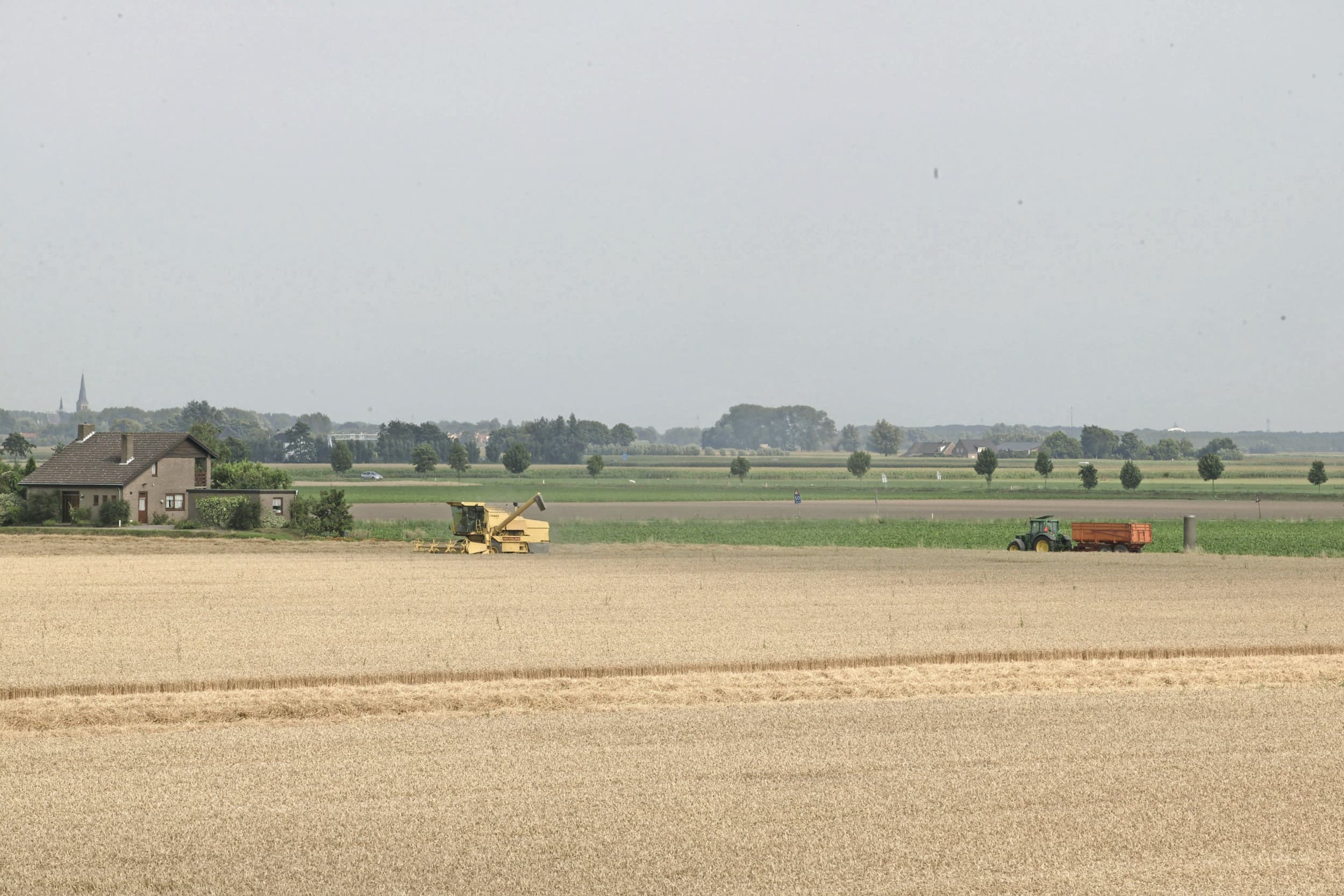 abn amro groeiverwachting foodsector