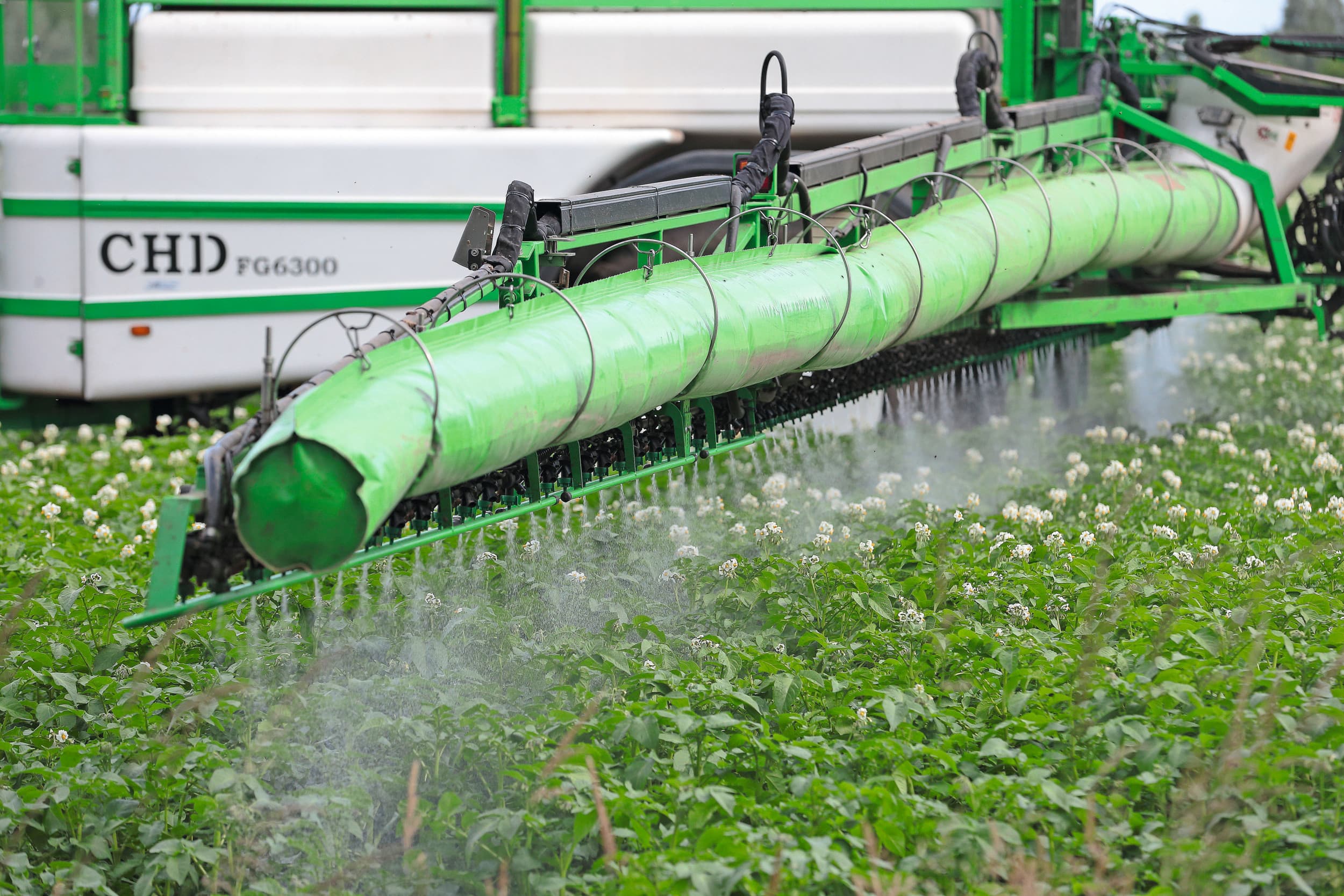 Bespuiting van aardappelen, gebruikt middel hier onbekend. Foto: Hans Prinsen
