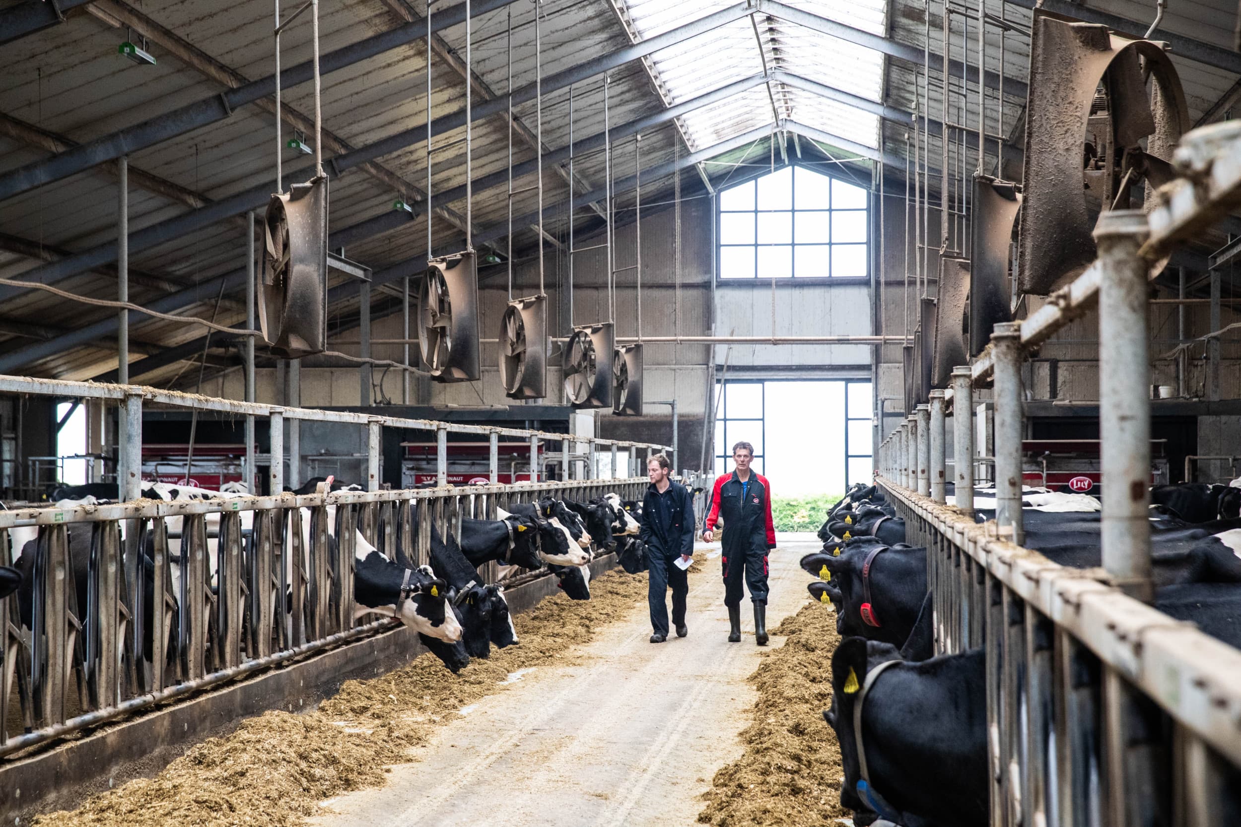 Familie Reinders uit Anevelde realiseerde vier tientonners in één jaar. Foto’s: Ronald Hissink