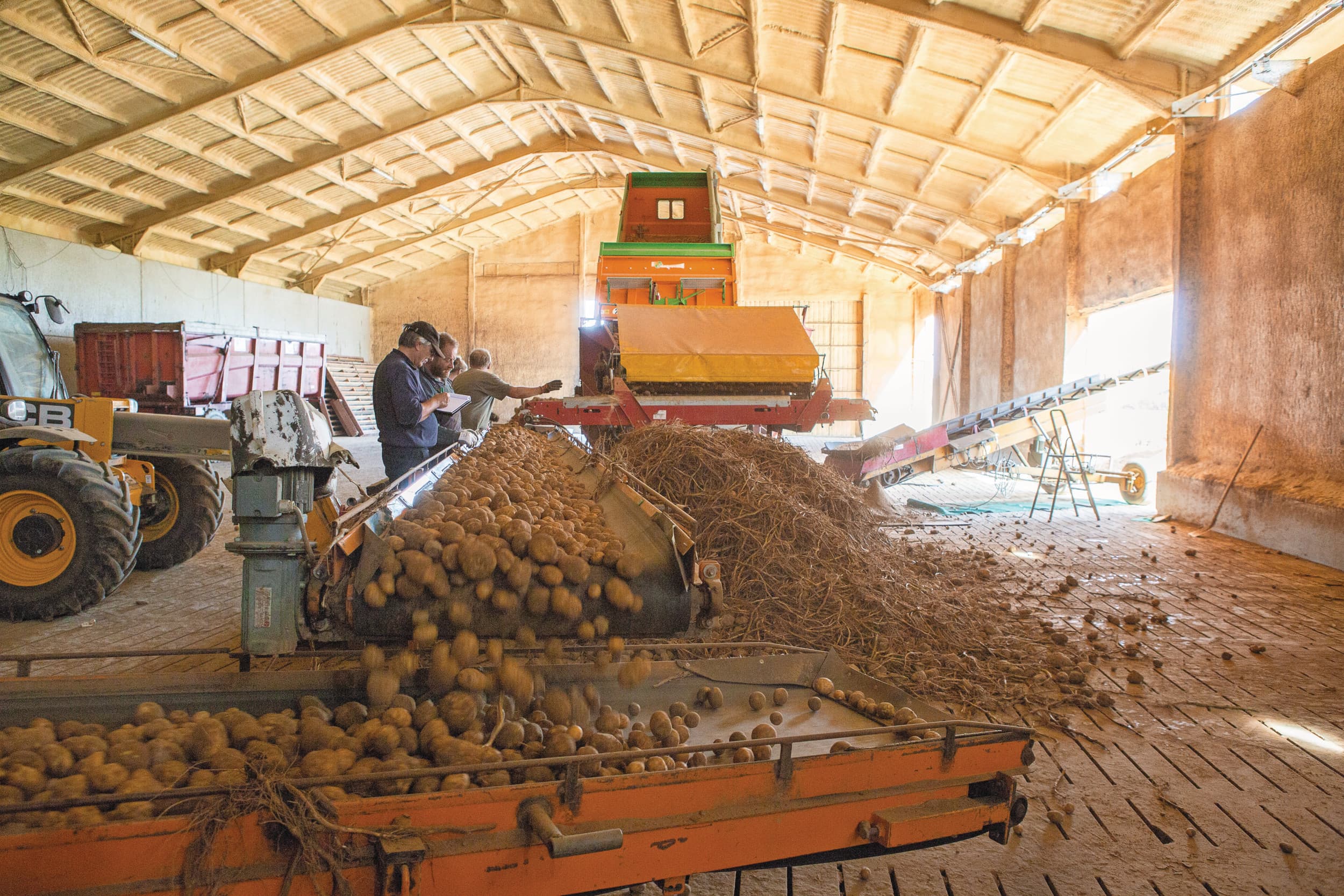 Niets wijst er volgens de bond van aardappeltelers op dat de Franse of Europese markt, zowel industrieel als vers, in 2026 enig herstel zal vertonen. Foto: Peter Roek