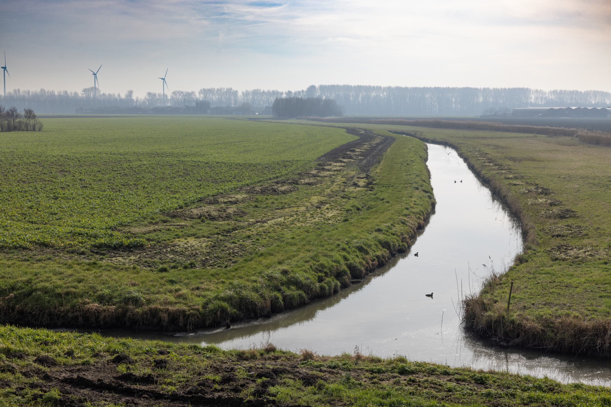 Landbouwbedrijven gaan meer waterschapsbelasting over hun grond betalen. Foto: Peter Roek