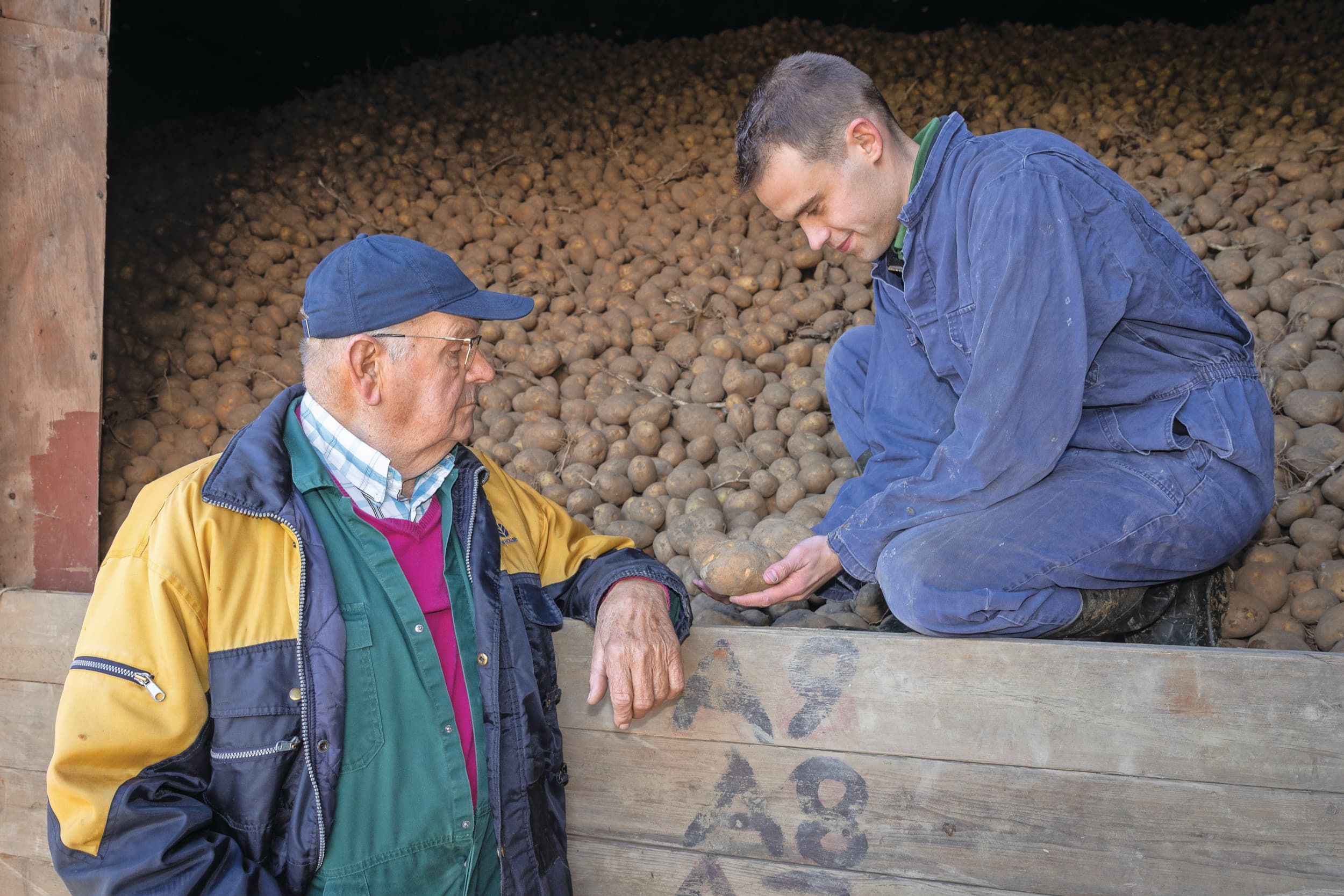 Het bedrijf heeft zowel een volwaardige melkvee- als akkerbouwtak. Hierdoor is het toekomstbestendig, zegt Tijn. Foto’s: Peter Roek