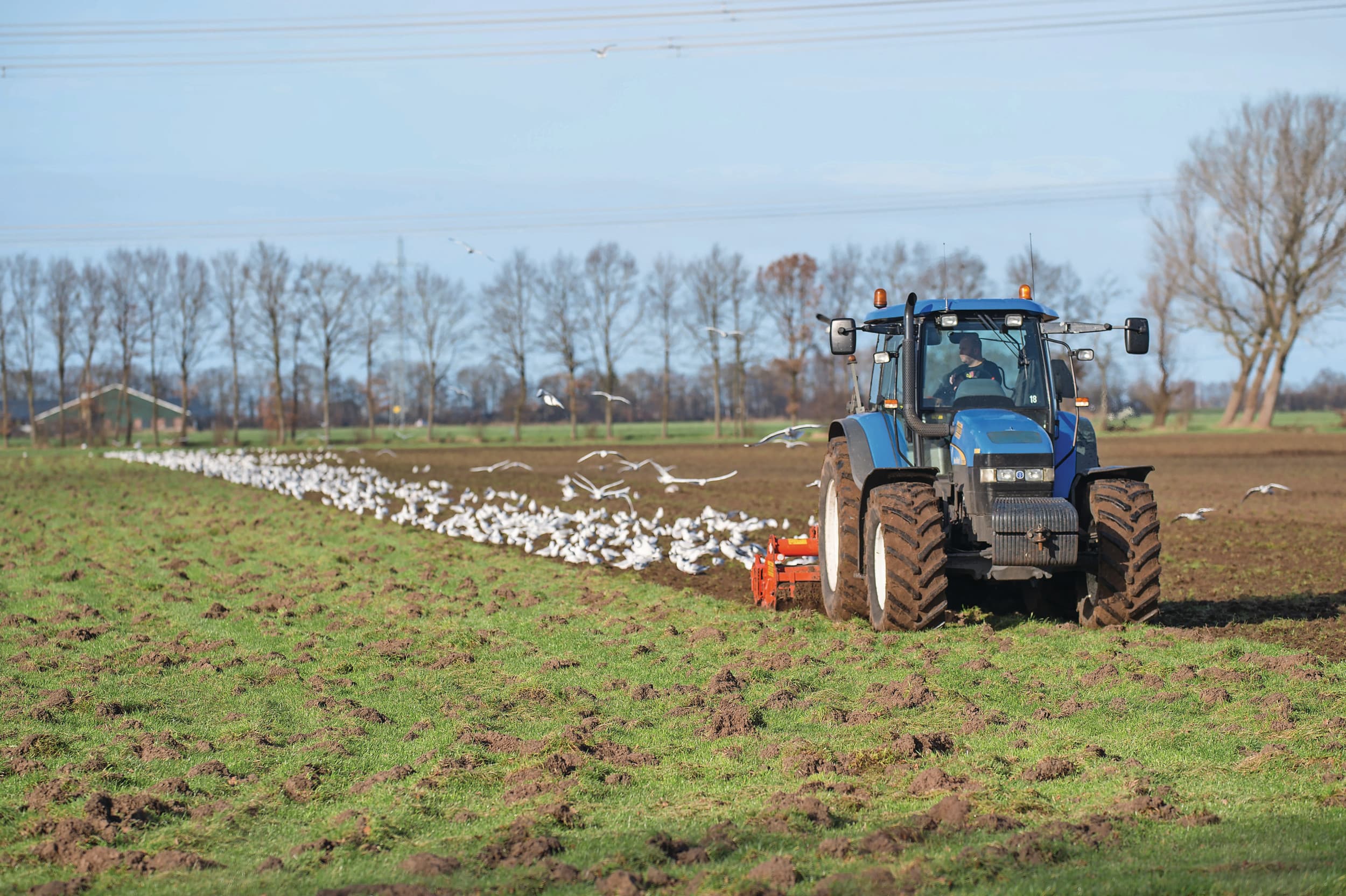 mest pachtgronden overijssel