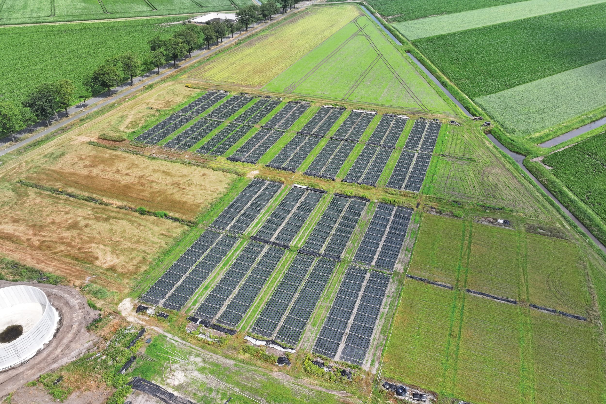 Energieopwekking op landbouwgrond valt niet onder de fiscale landbouwvrijstelling. Foto: Jan Willem van Vliet