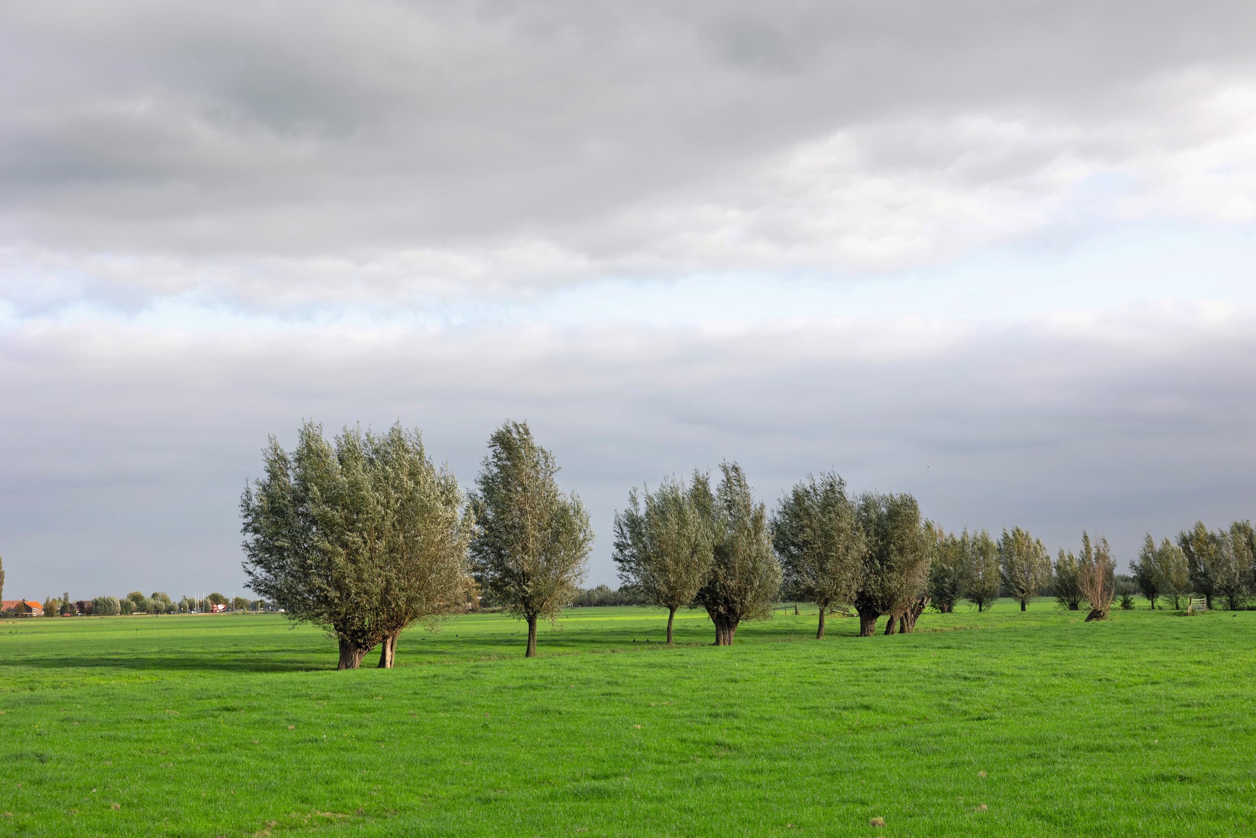 kritiek Deloitte-studie milieu-impact landbouw