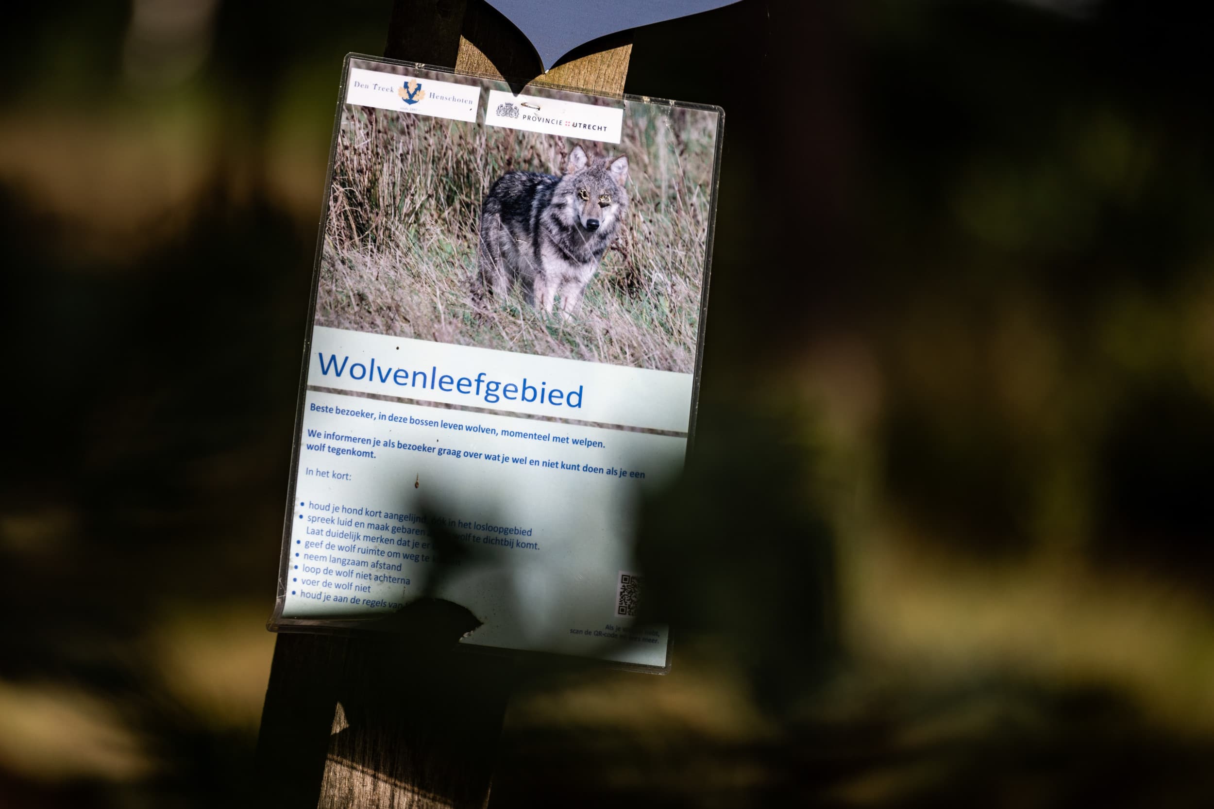 Een waarschuwingsbord voor de wolf in een natuurgebied. Foto: ANP