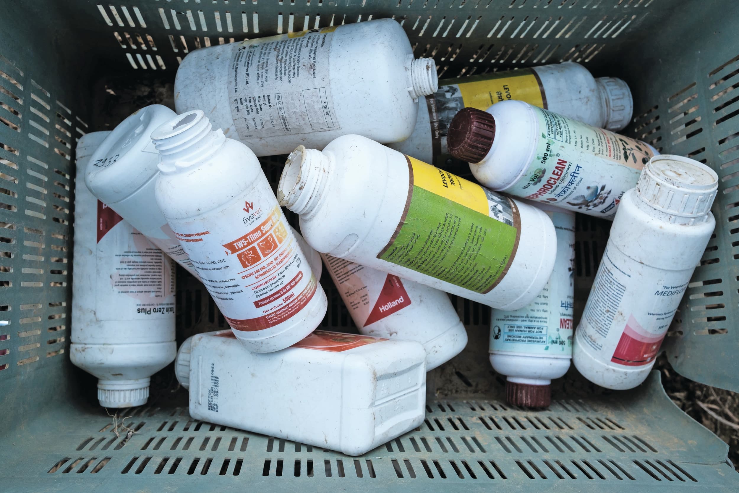 antibioticagebruik pluimvee