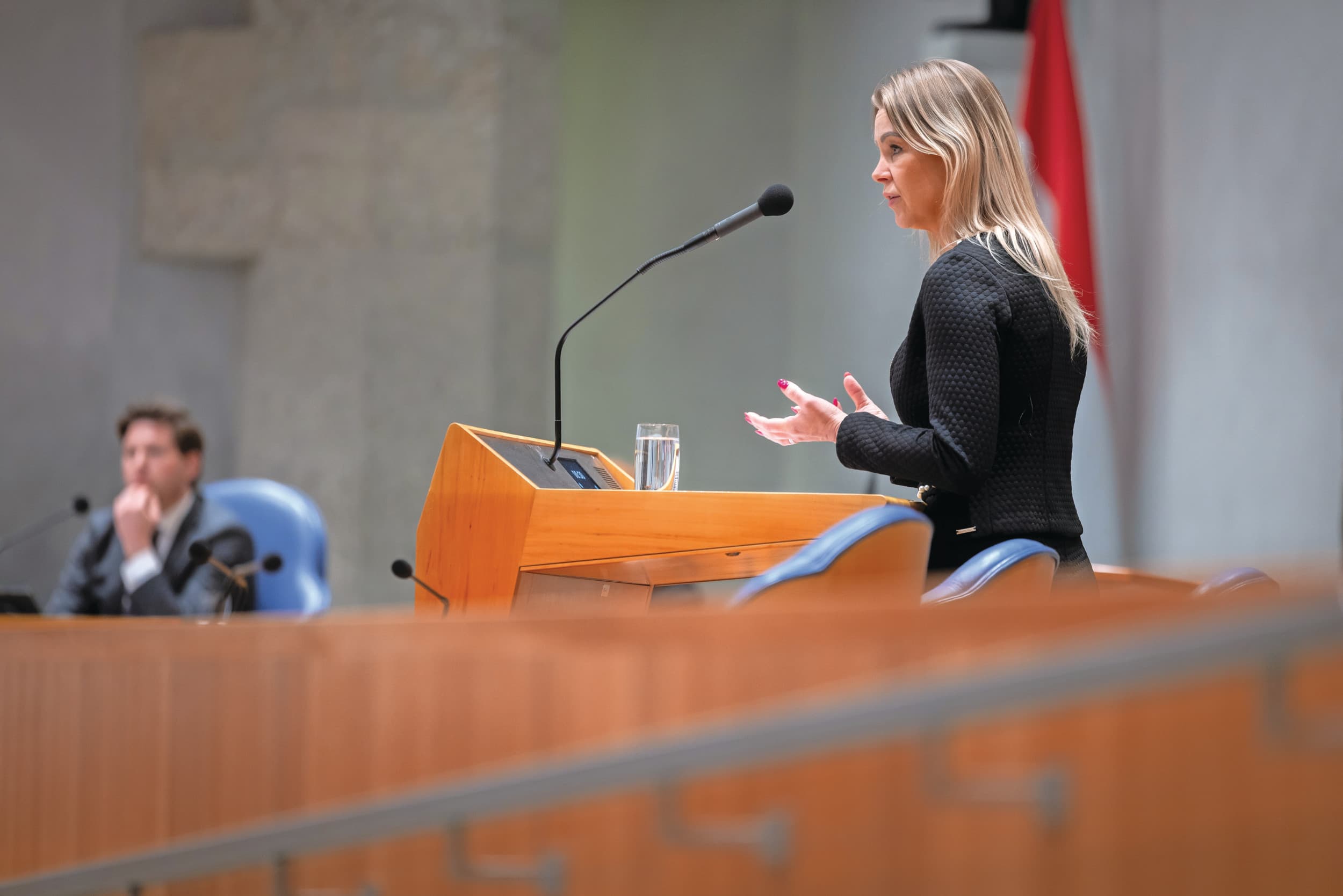 verbod veeprikker Tweede Kamer