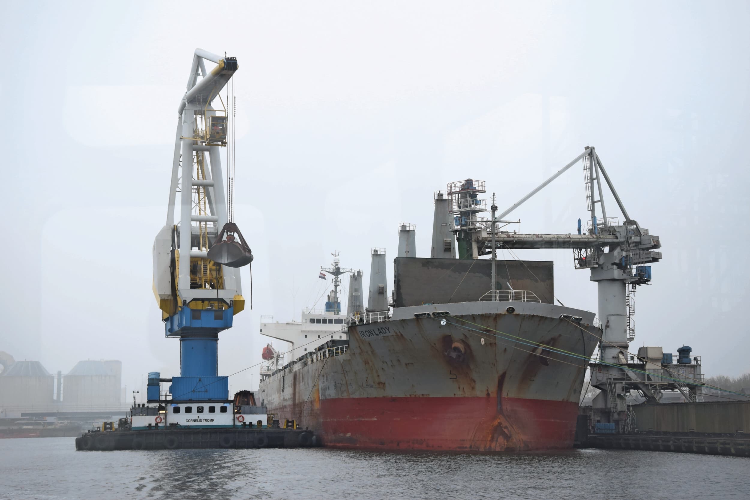 De beschikbaarheid van soja in de Europese Unie is beperkt. De EU heeft een lage zelfvoorzieningsgraad in eiwitrijke diervoedergrondstoffen en is voor twee derde deel van haar behoefte afhankelijk van import. Foto: Nevedi