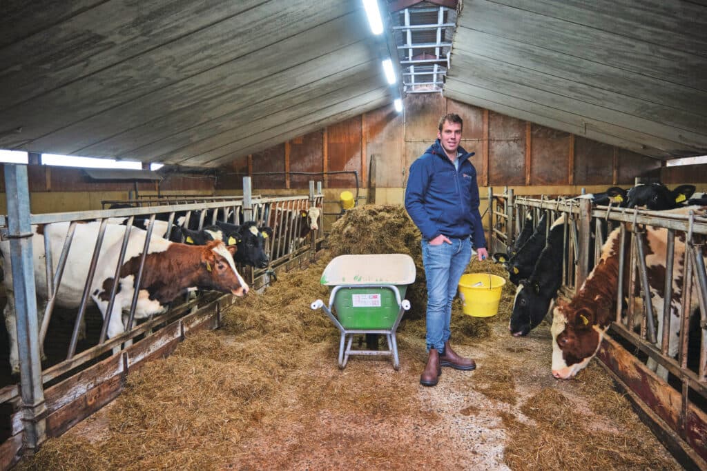 Didderik en Arjan hebben de taken helder verdeeld, waarbij Didderik de meeste werkzaamheden bij de koeien doet.