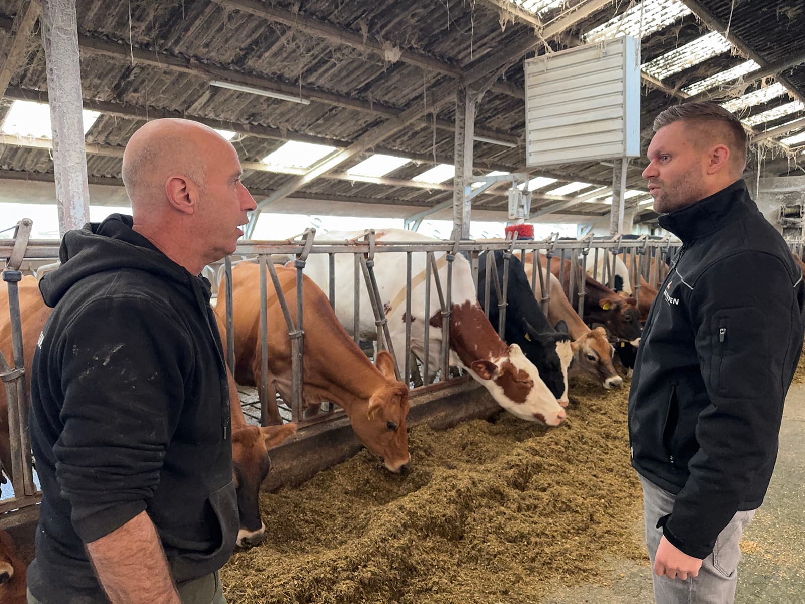 Willem en Gerard Scholten melken 150 koeien in Ambt Delden (Ov.). Foto's: Van Vulpen