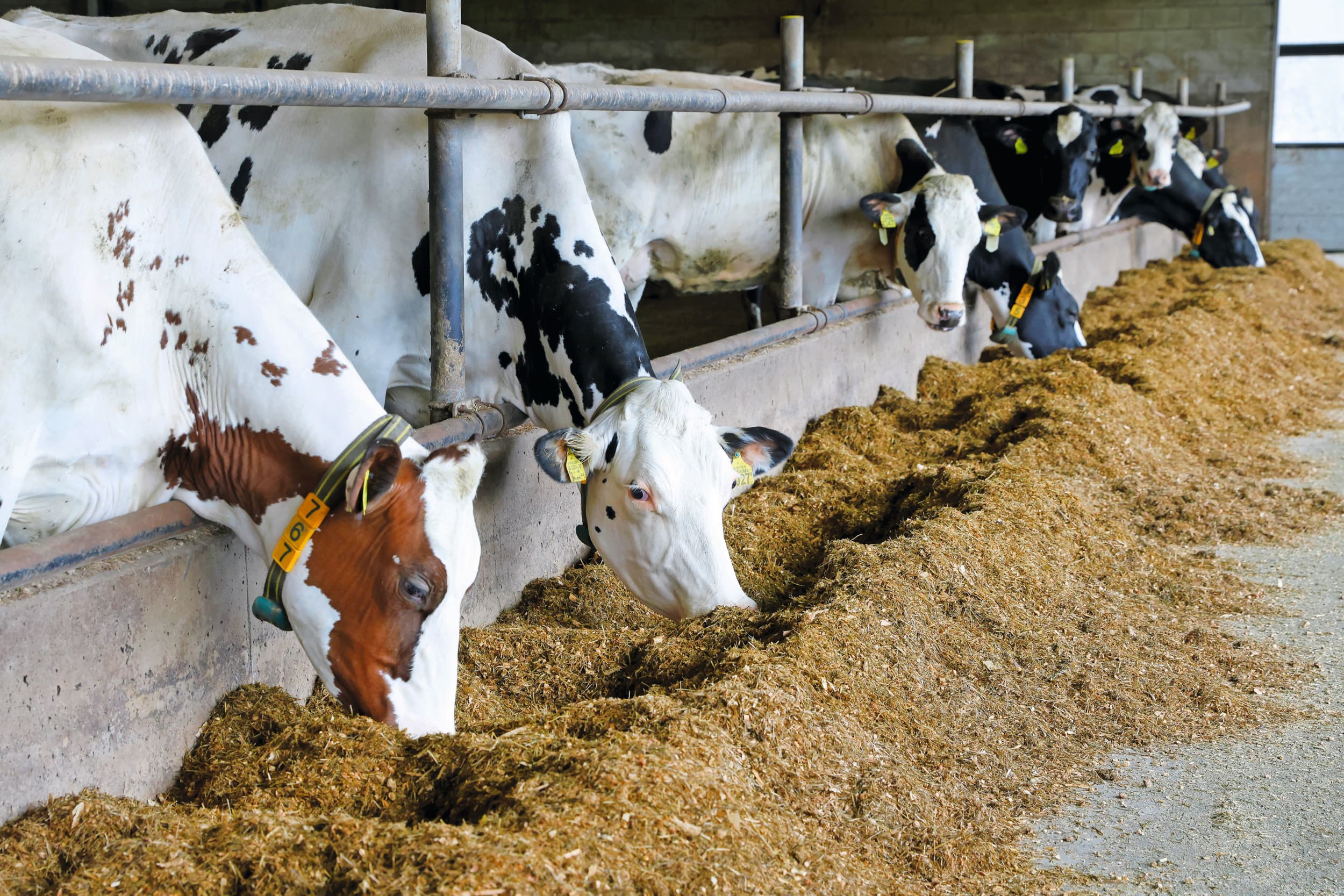 PAS-melders hebben in totaal voor ruim €22 miljoen aan schadevergoeding aangevraagd. Tot nu toe zijn vooral juridische advieskosten gehonoreerd. Foto: Ton Kastermans Fotografie