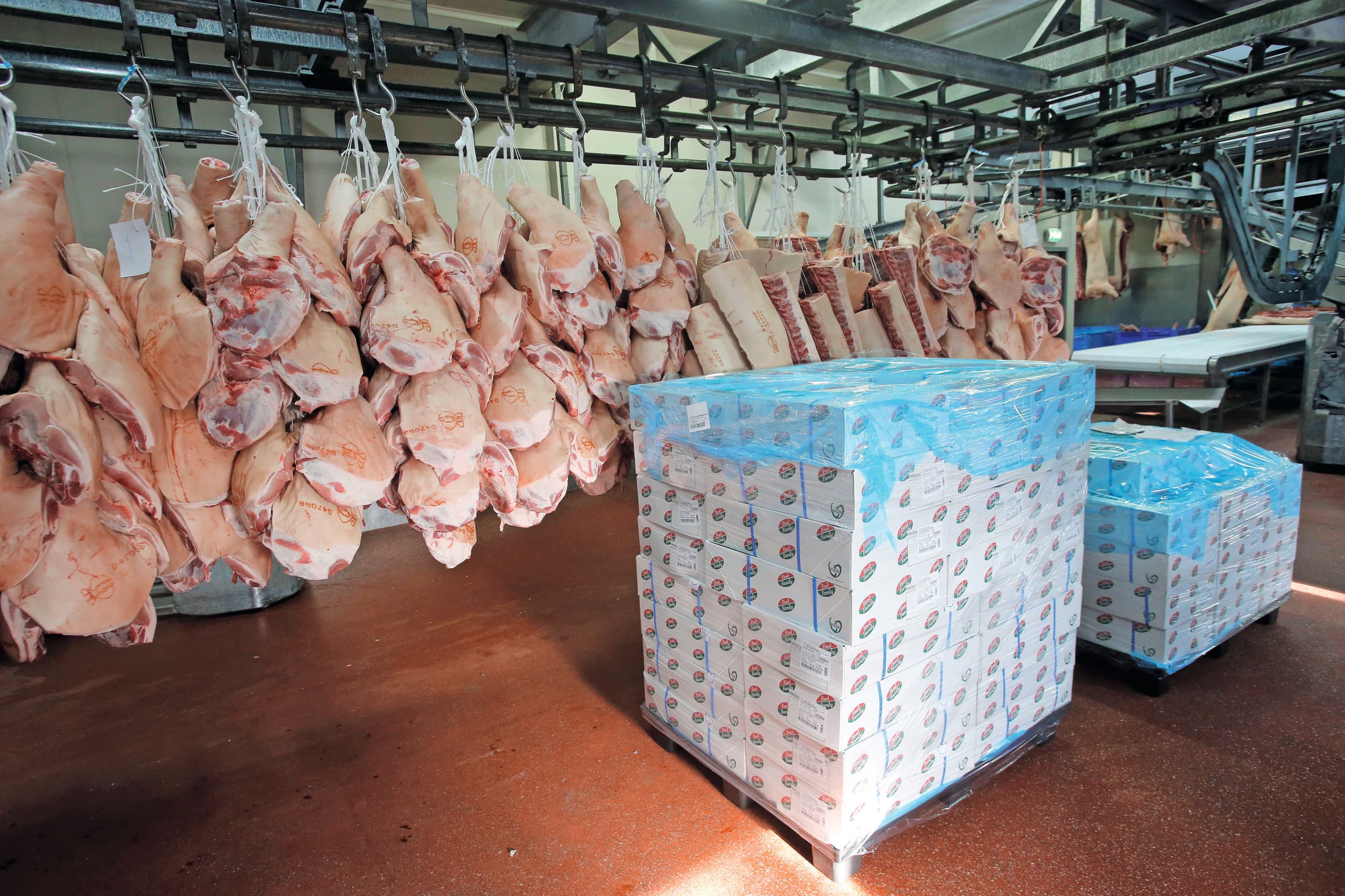 Varkensvlees laden voor de export. Als China heffingen legt op elektrische auto's, slaan we terug met een heffing op varkensvlees. Foto: Bert Jansen