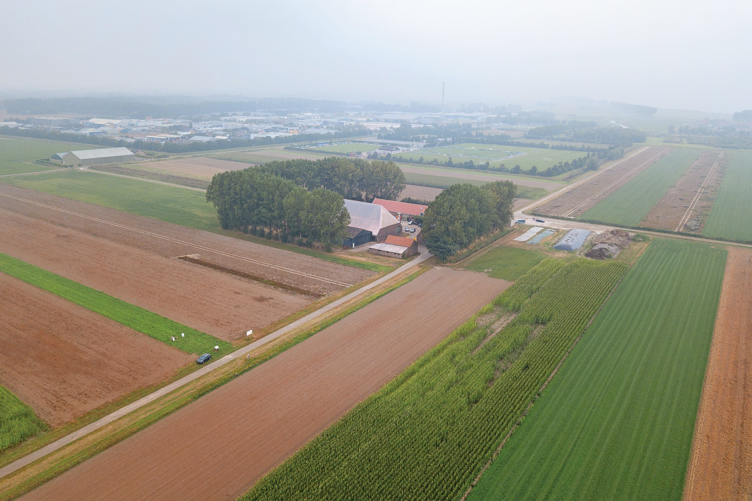 Teelt van suikerbieten, mais en voederbieten. Vruchtwisseling is inmiddels verworden tot een juridisch mijnenveld, waarin de landbouwvrijstelling slechts geldt voor wie het stappenplan van de Belastingdienst foutloos weet te volgen. Foto: Peter Roek