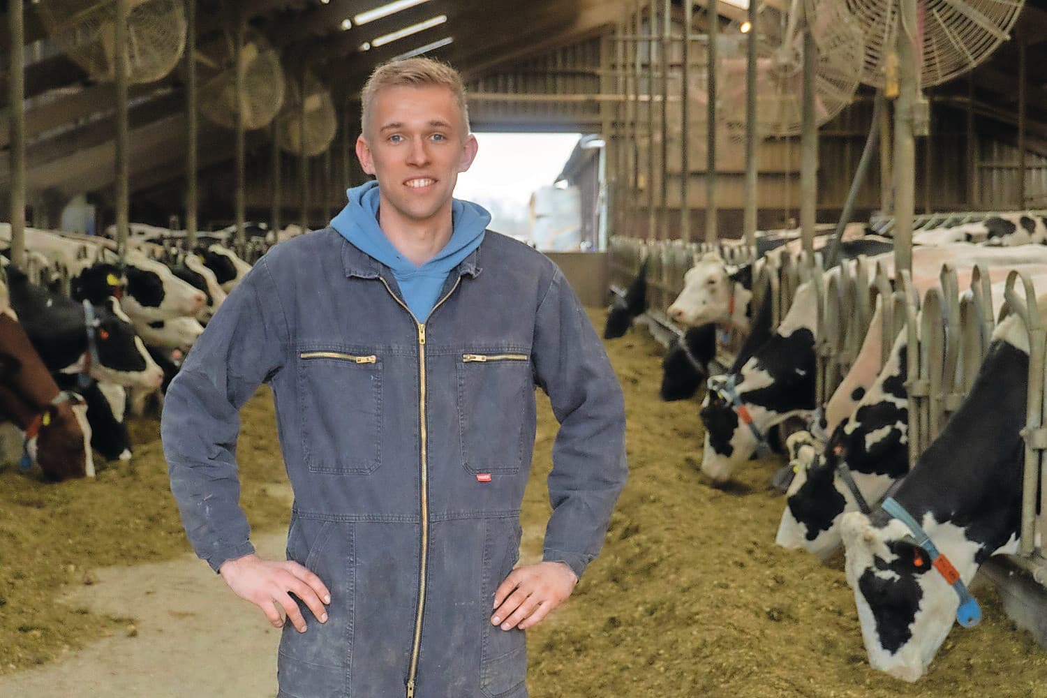 David Wouters op de voergang van zijn melkveestal. Foto: Michiel Eberwijn