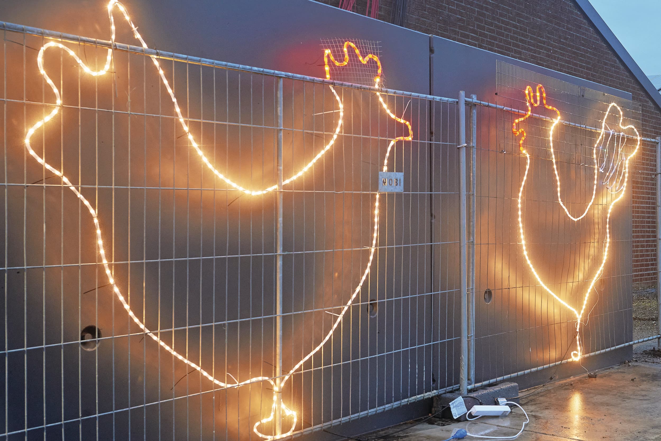 licht en liefde kerstmis landbouw