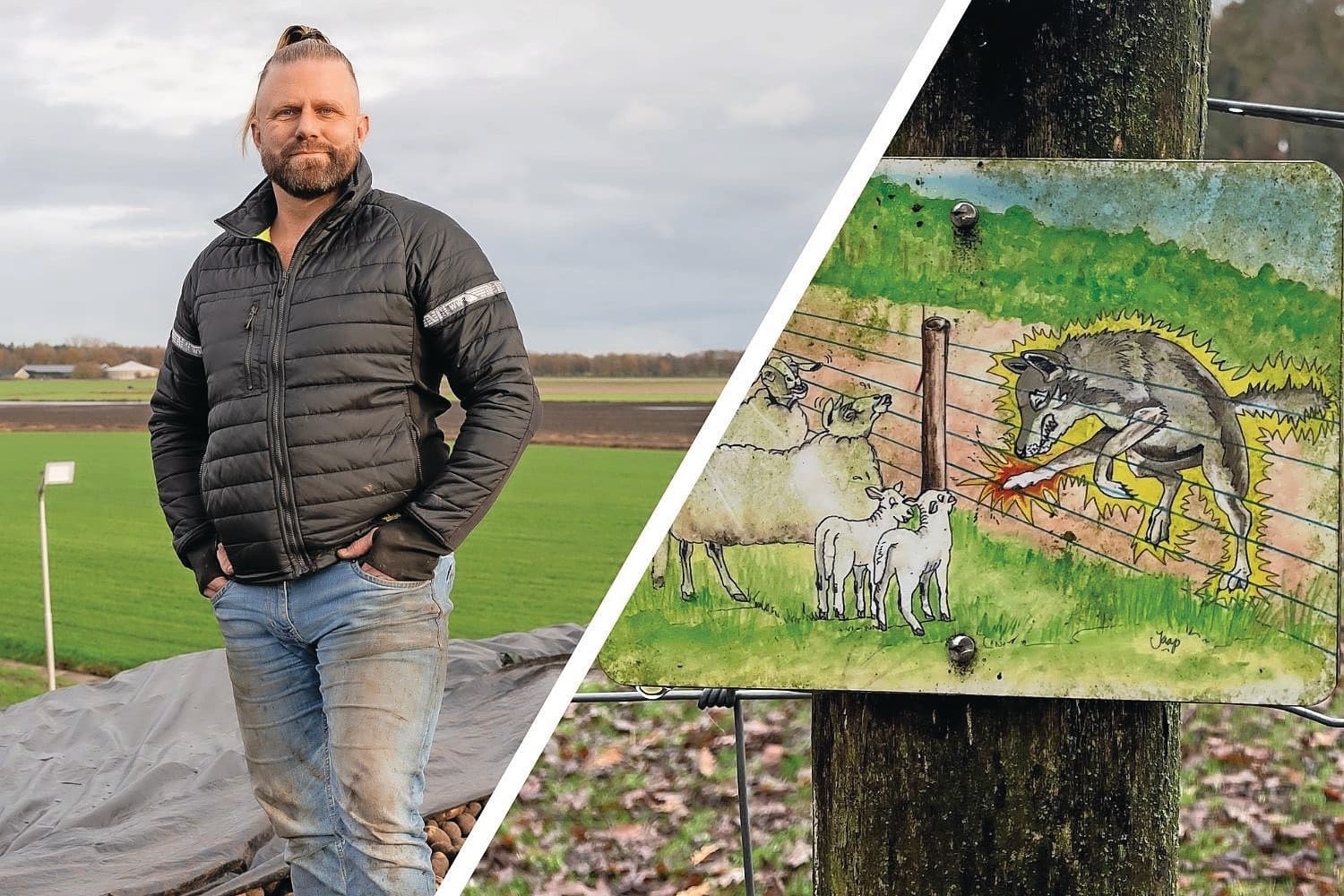 Links akkerbouwer René Mesken, die volledig zonder bank werkt en inzet op vrije frites. Rechts een waarschuwingsbord voor wolven, een thema dat in 2025 veel aandacht trok op Boerderij.nl. Foto's: Andrea van Schaik Fotografie en Jan Vullings