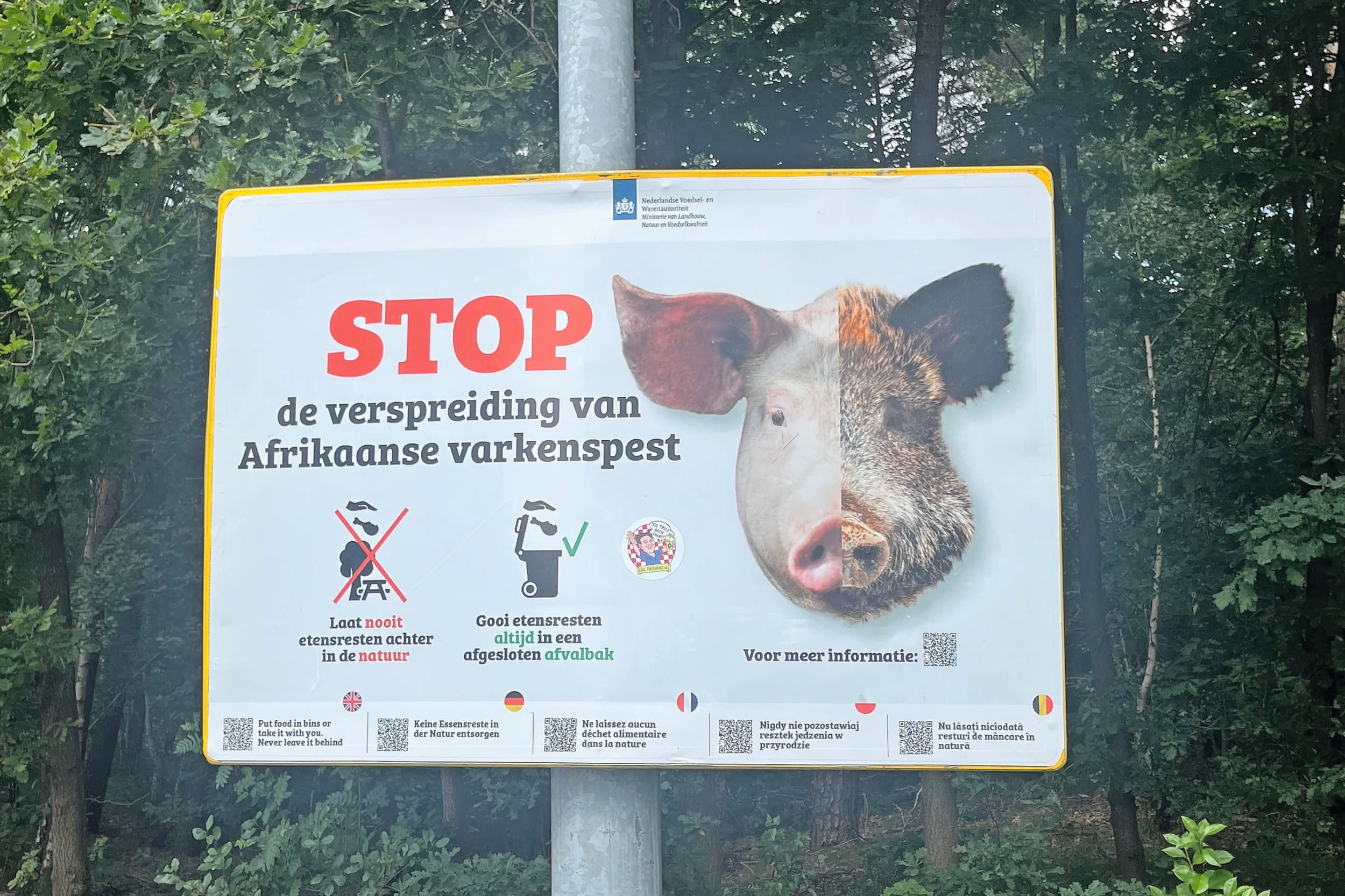 Borden op een parkeerplaats langs de snelweg. Bewustwording is belangrijk in de strijd tegen Afrikaanse varkenspest. Foto: Jan Vullings