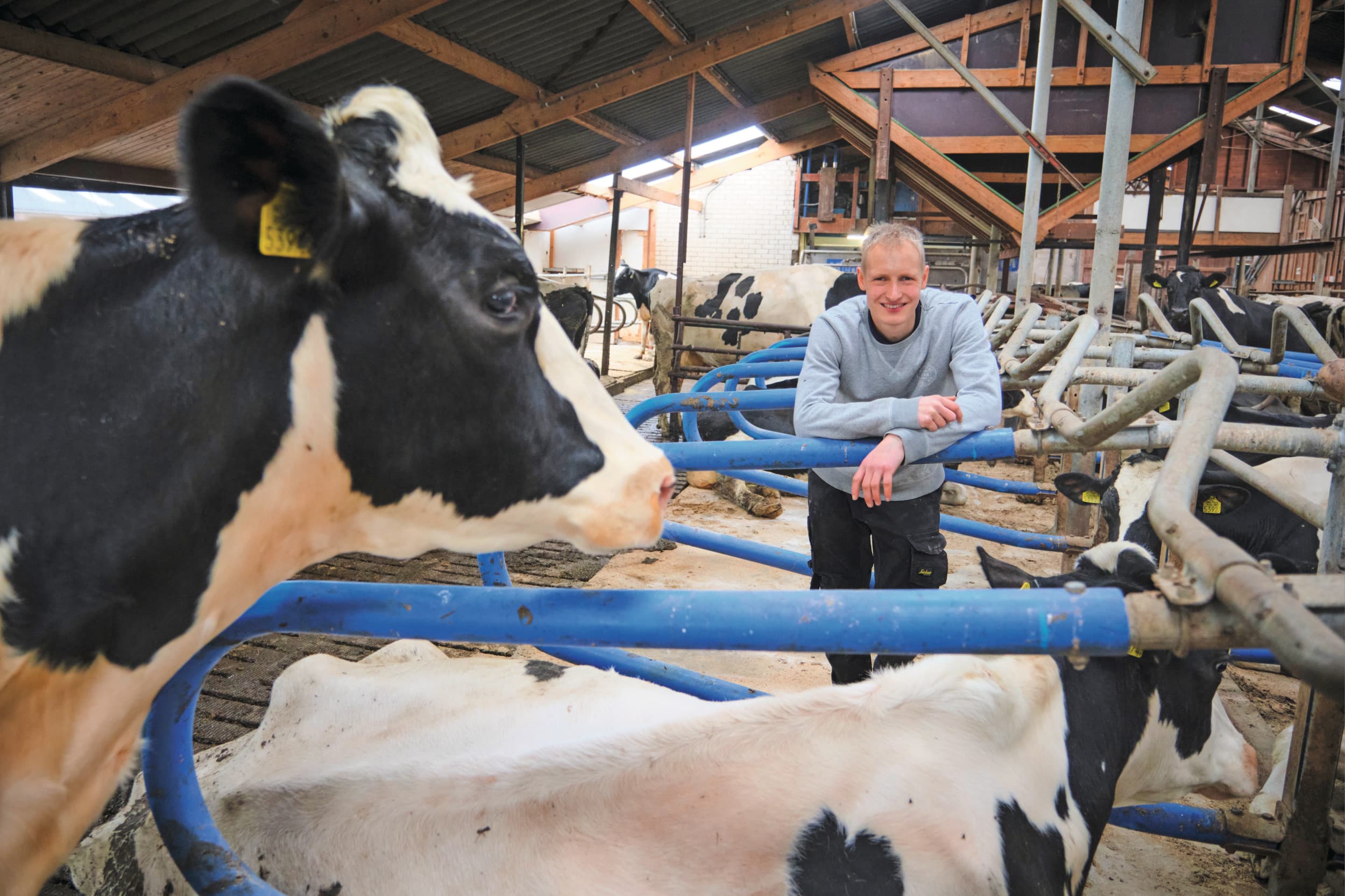 Jan-Jaap Verweij (24) woont in Rijpwetering (Z.-H.). Hij houdt 55 melkkoeien op 33 ha. Daarnaast runt hij een boerderijcamping met zes chalets en een recreatietak voor groepen. Foto’s: Fred Libochant