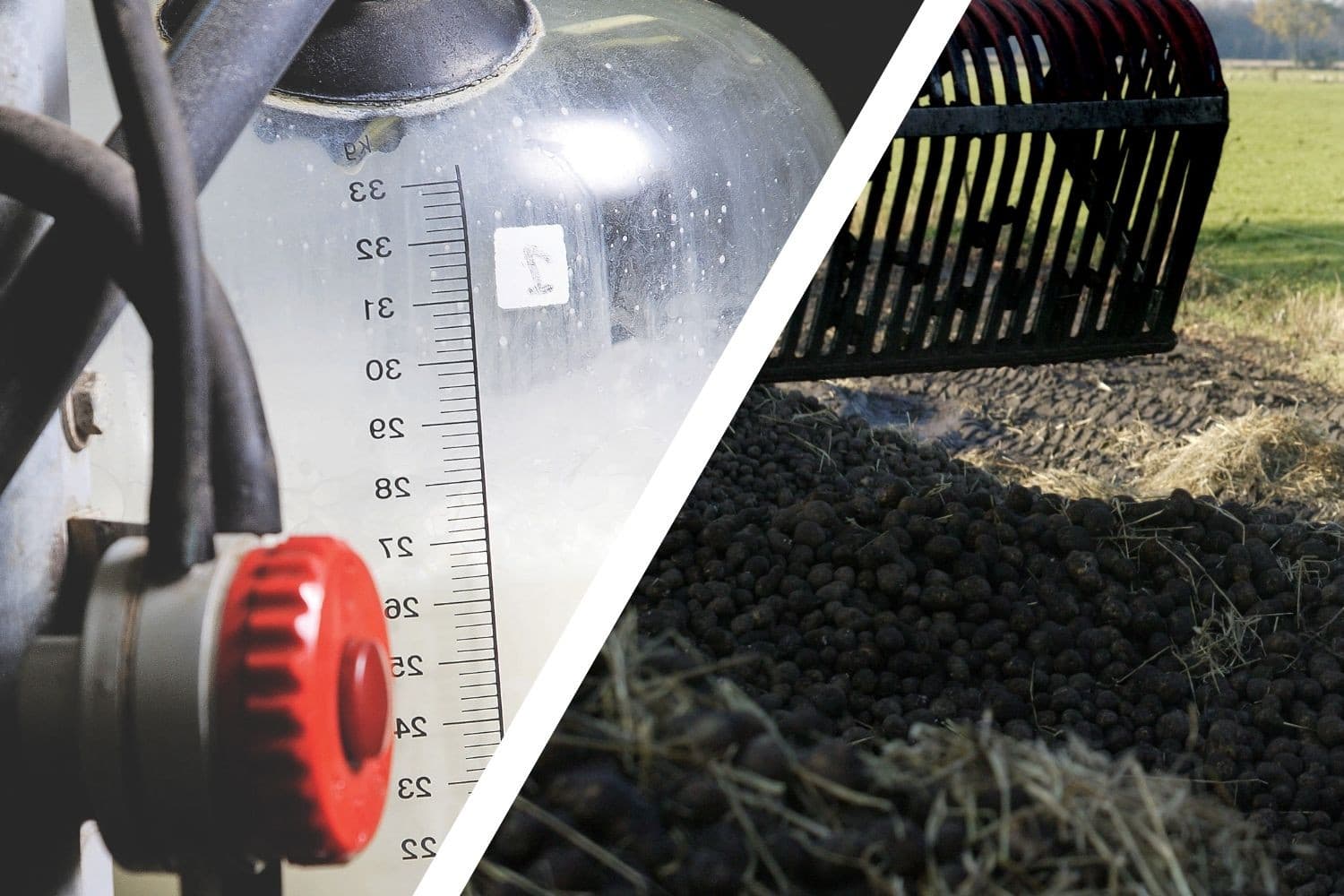 Bij FrieslandCampina drukken een toegenomen melkproductie en een lagere melkprijs op het begin van het jaar, terwijl de coöperatie inzet op schaal en lange termijn. Avebe kiest juist voor hoogwaardige ingrediënten om zich los te maken van de bulkmarkt en minder afhankelijk te zijn van dagkoersen. Foto: Hans Prinsen, beeldbewerking
