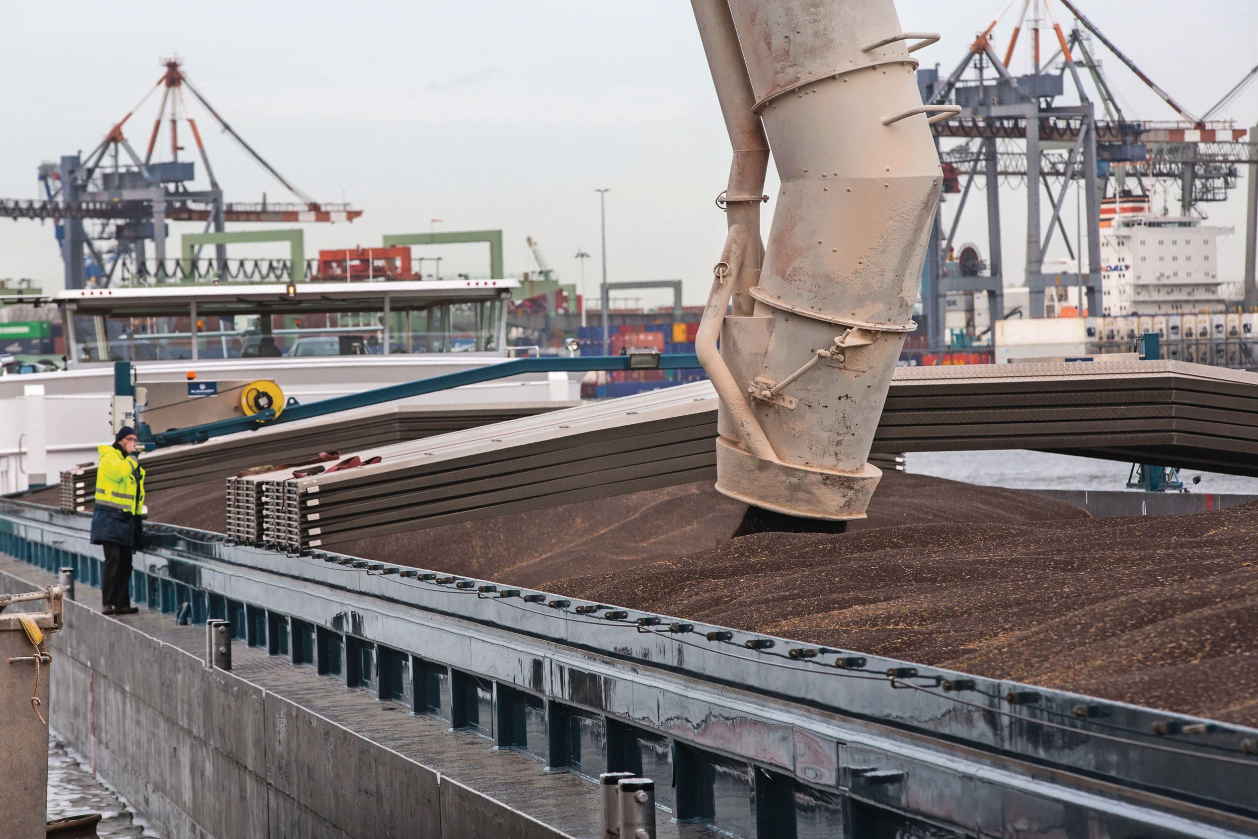 De overslag van raapschroot in Rotterdam. Het is een toenemende concurrent voor sojaschroot, omdat het goedkoper is. Foto: Koos Groenewold