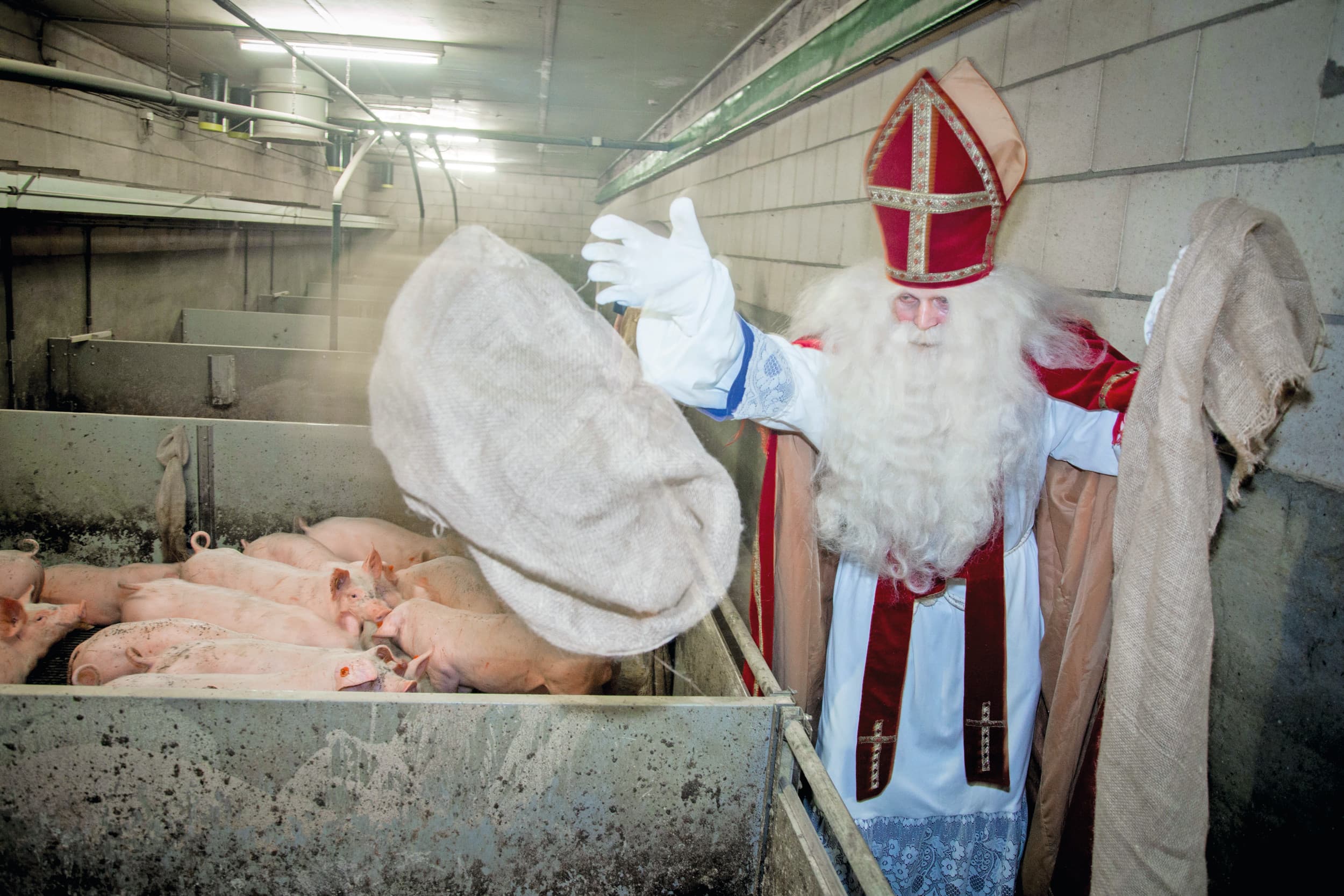 Sinterklaas levert altijd