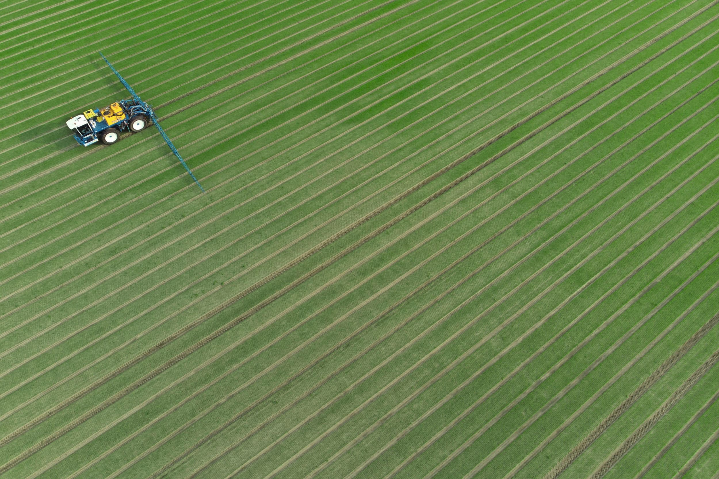 Kruisresistentie moet meegenomen worden bij de toelating van antischimmelstoffen in de landbouw, adviseert RIVM in een onderzoek. Foto: Hans Prinsen