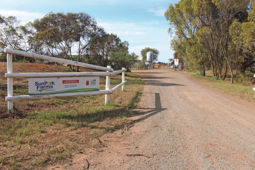 Roseworthy Farm is een onderzoeksfaciliteit van Adelaide University. SunPork nam het beheer in 2022 over. Het bedrijf produceert jaarlijks 19.400 biggen; ongeveer twee derde wordt op het bedrijf zelf afgemest, de rest gaat na het spenen in de verkoop. Het bedrijf werkt met vijf vaste medewerkers, plus af en toe studenten.