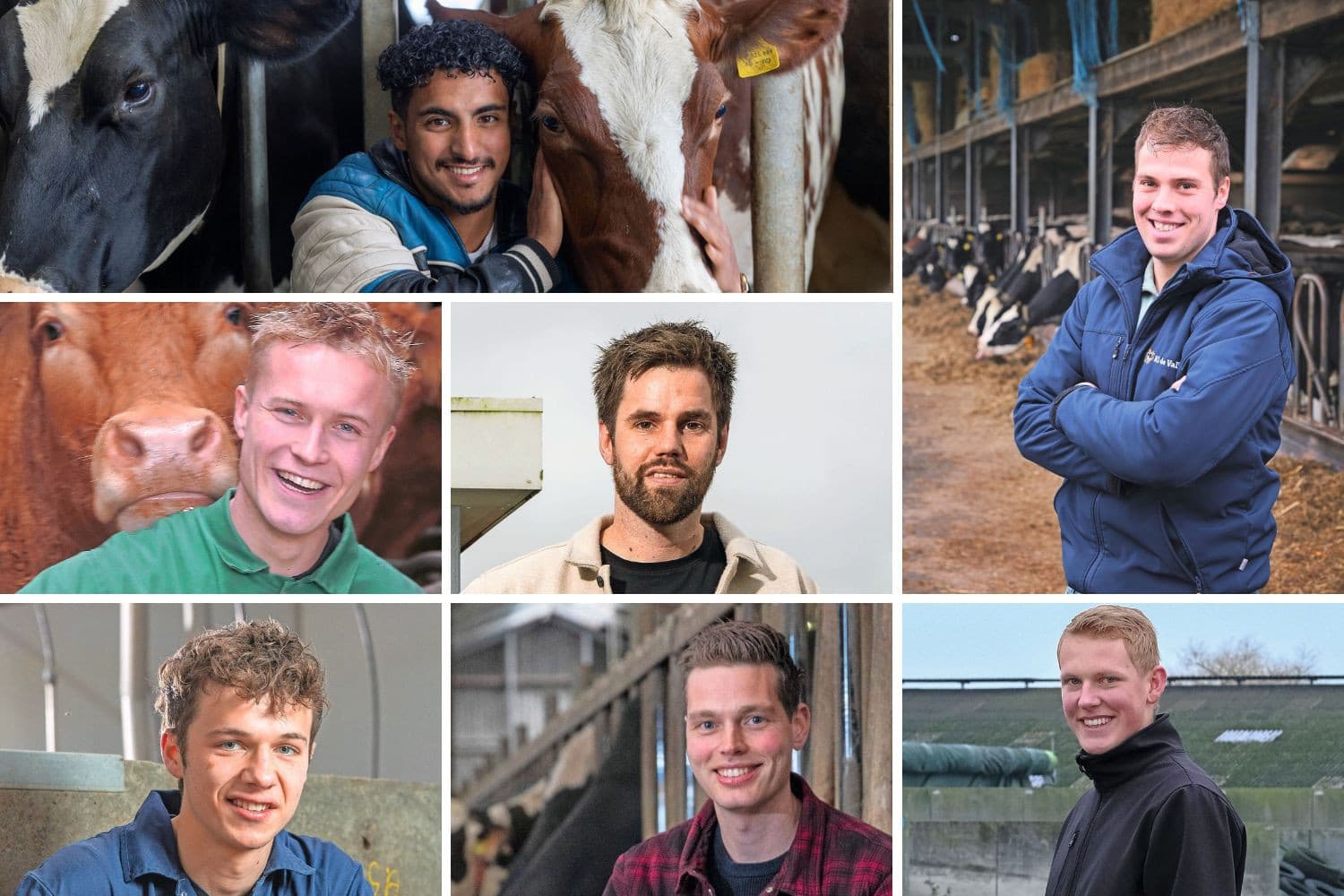 Zeven jonge mensen die buiten de familie een plek in de landbouw vonden of zoeken; zij staan centraal in onze kerstserie. Foto’s: Jan Willem van Vliet, Fred Libochant, Koos Groenewold, Hans Prinsen, Anne van der Woude en Mark Pasveer, beeldbewerking