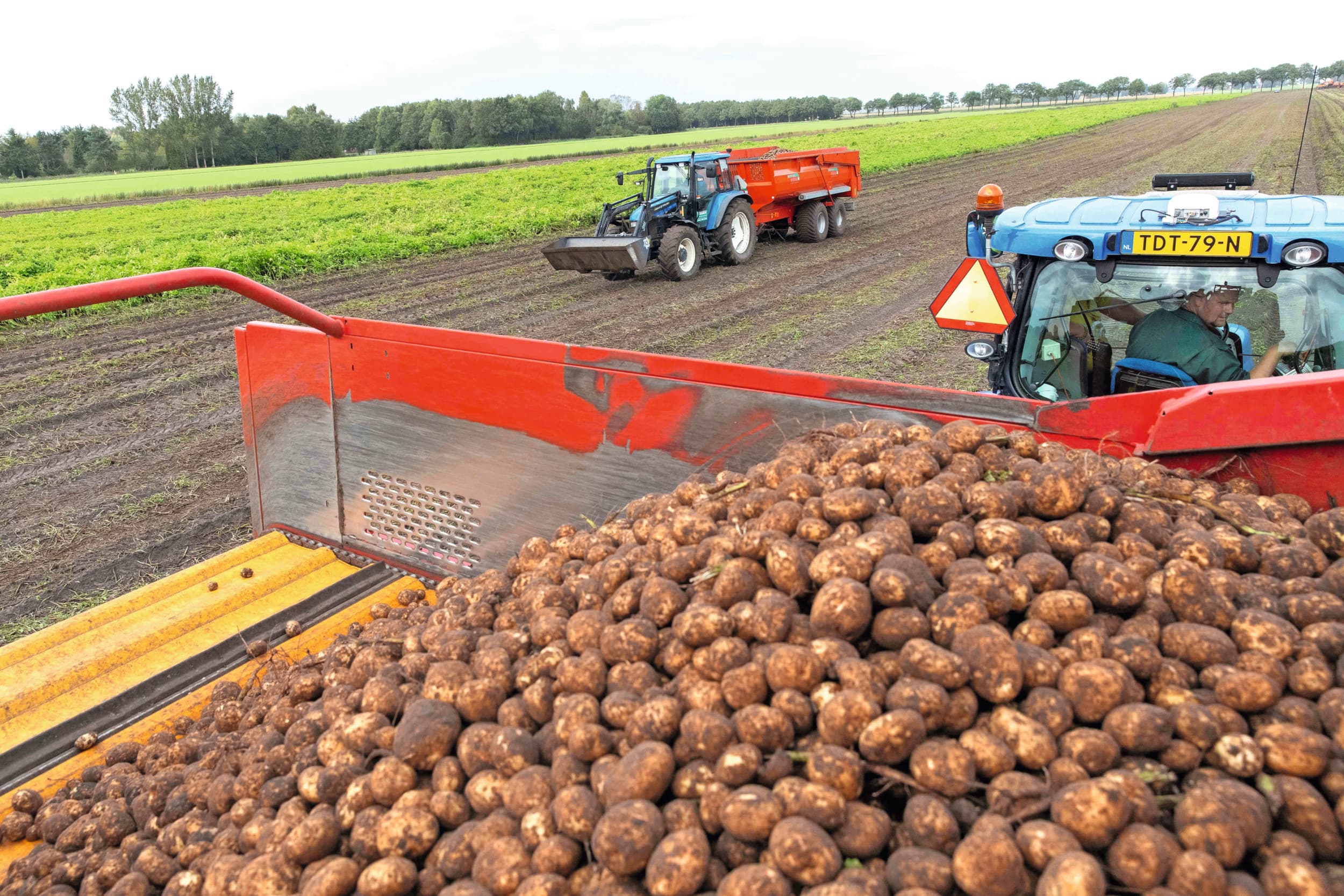 Avebe aardappelmarkt strategie