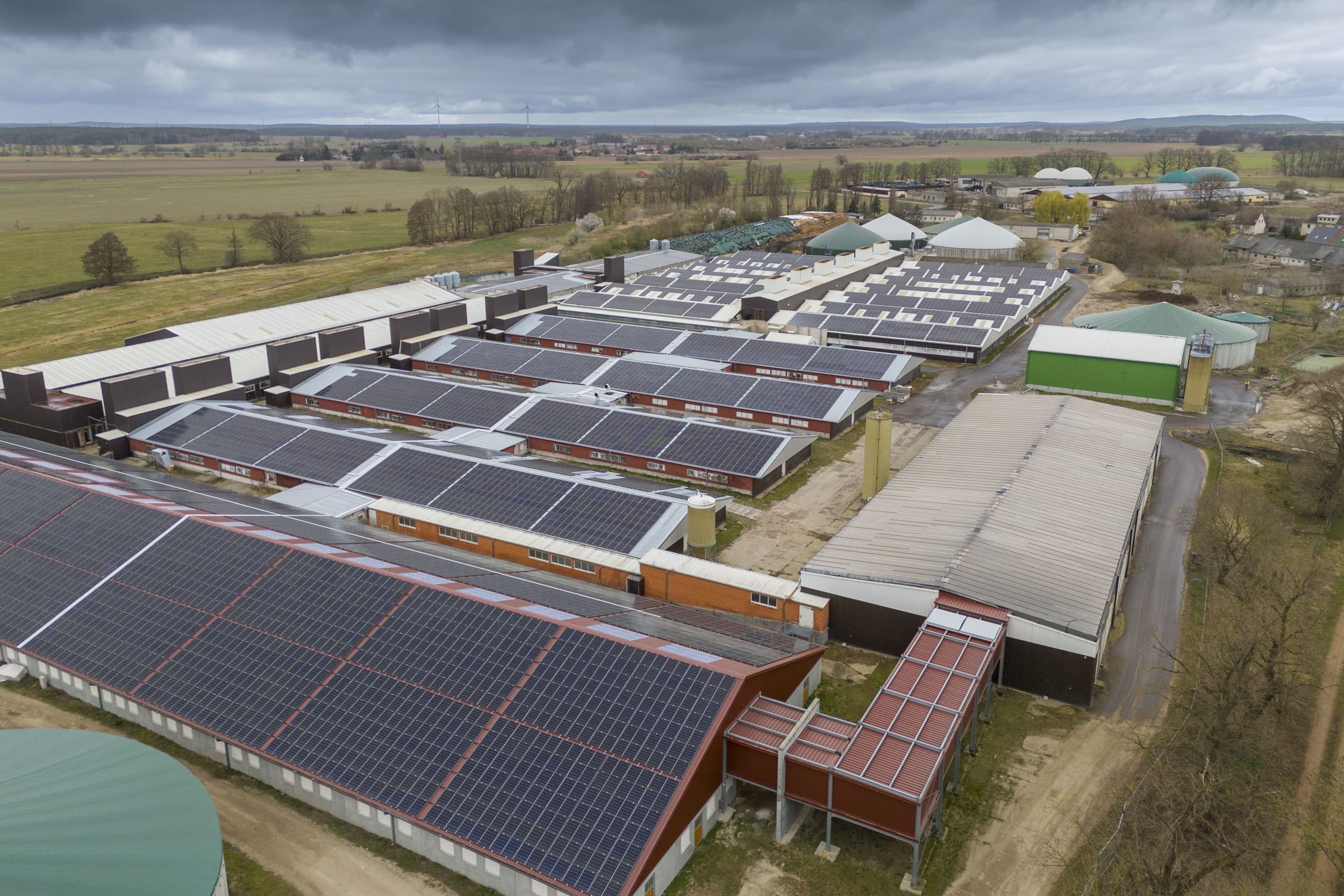 Luchtfoto van het varkensbedrijf Geestferkel in Duitsland. Het bedrijf groeide in enkele jaren uit tot 25.000 zeugen, verspreid over zestien locaties, en was onderwerp van een van de meest gelezen varkenshouderijartikelen van 2025. Foto: Mark Pasveer
